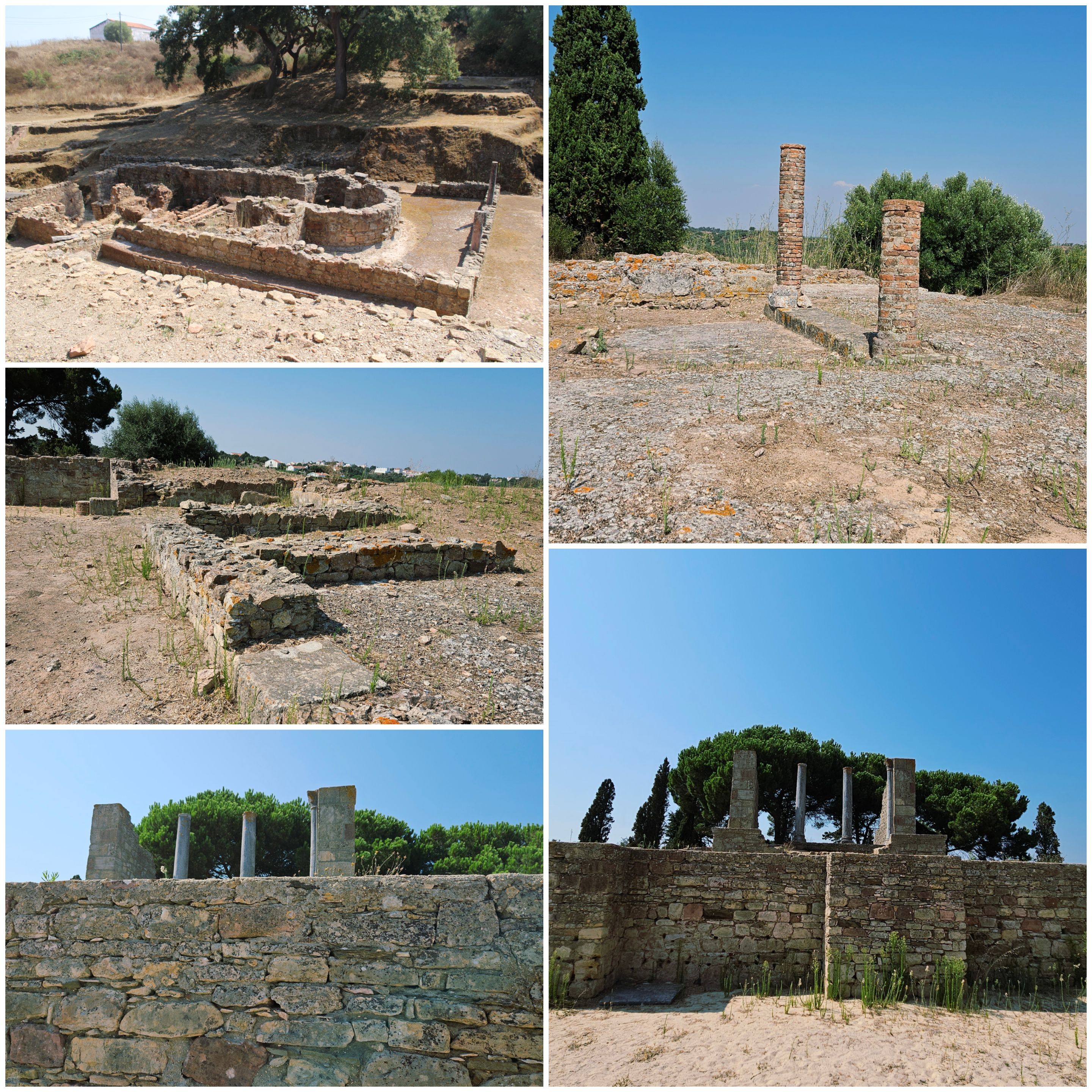 BeFunky-collage - 2025-10-20T134602.717.jpg