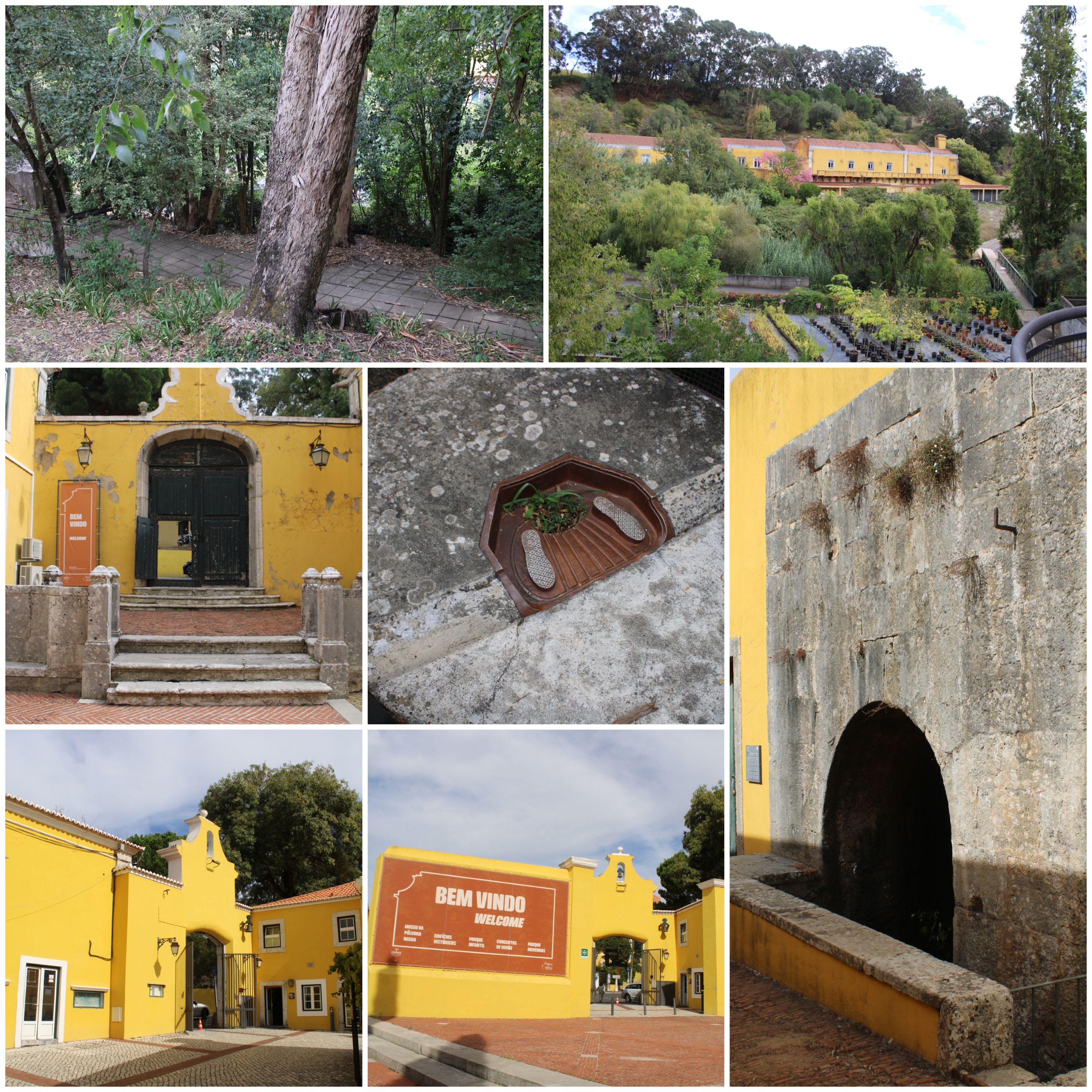 BeFunky-collage - 2025-10-23T110955.232.jpg