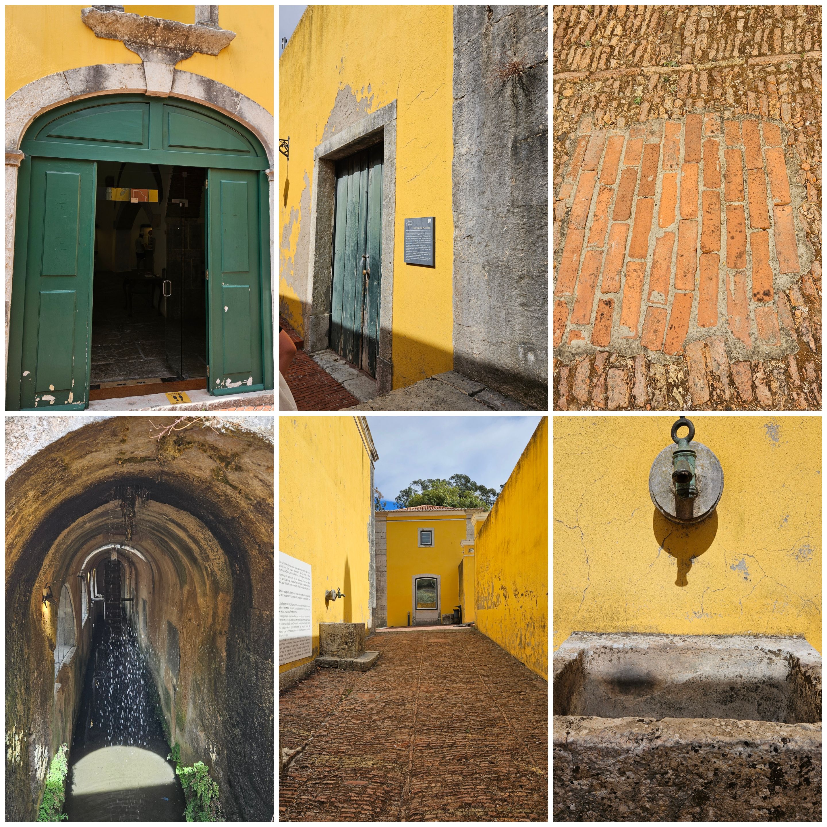 BeFunky-collage - 2025-10-23T105533.721.jpg