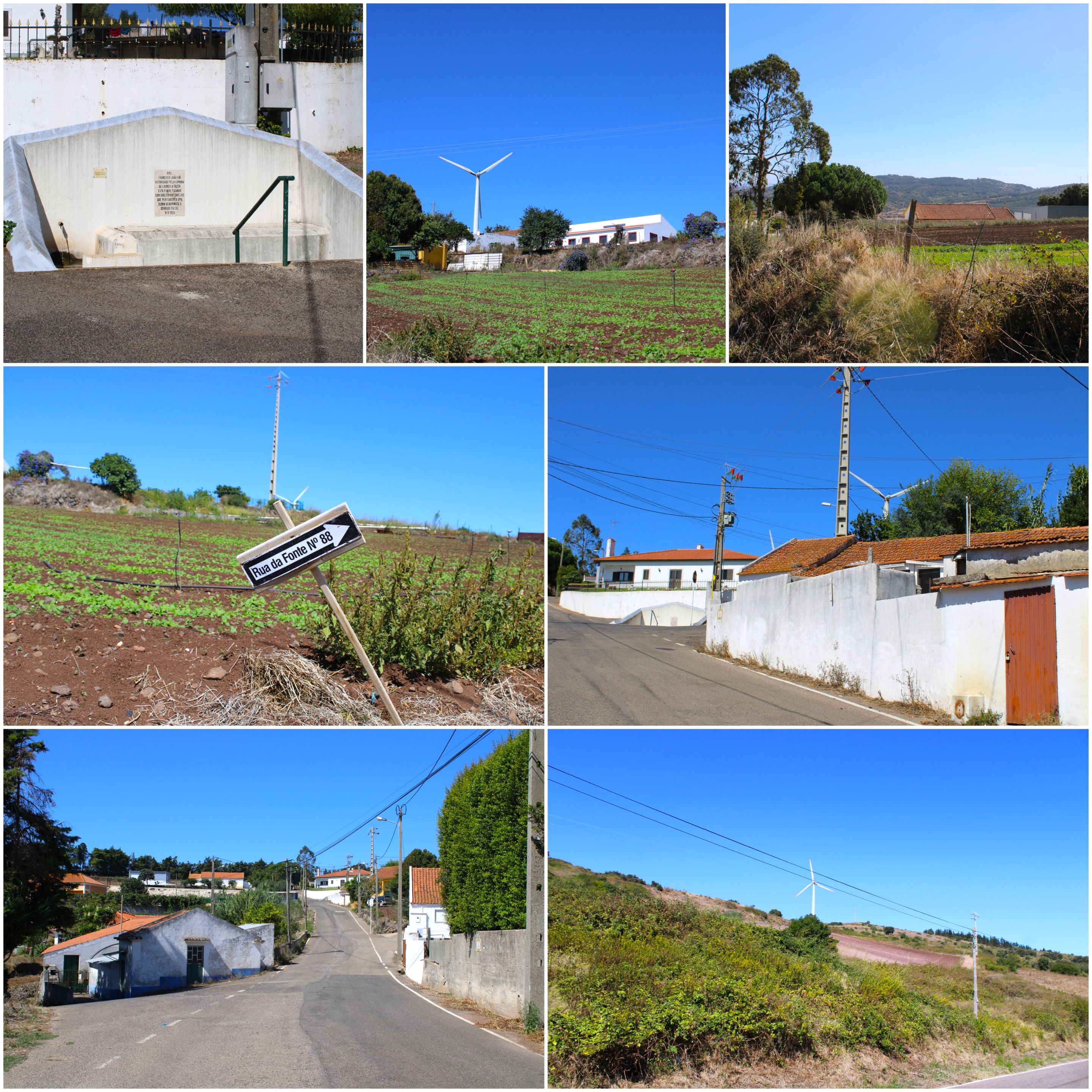 BeFunky-collage - 2025-10-06T112003.768.jpg