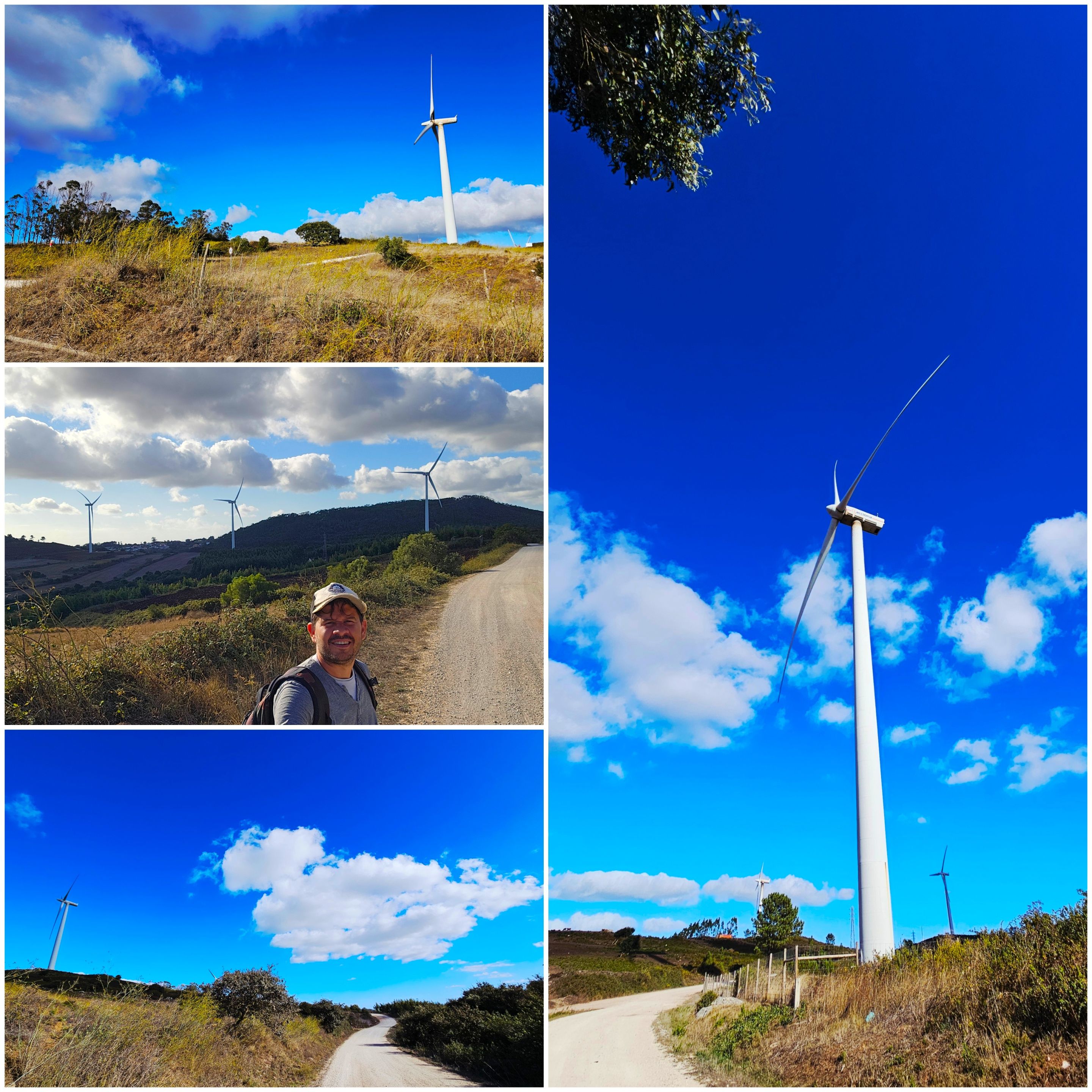 BeFunky-collage - 2025-10-06T110906.883.jpg