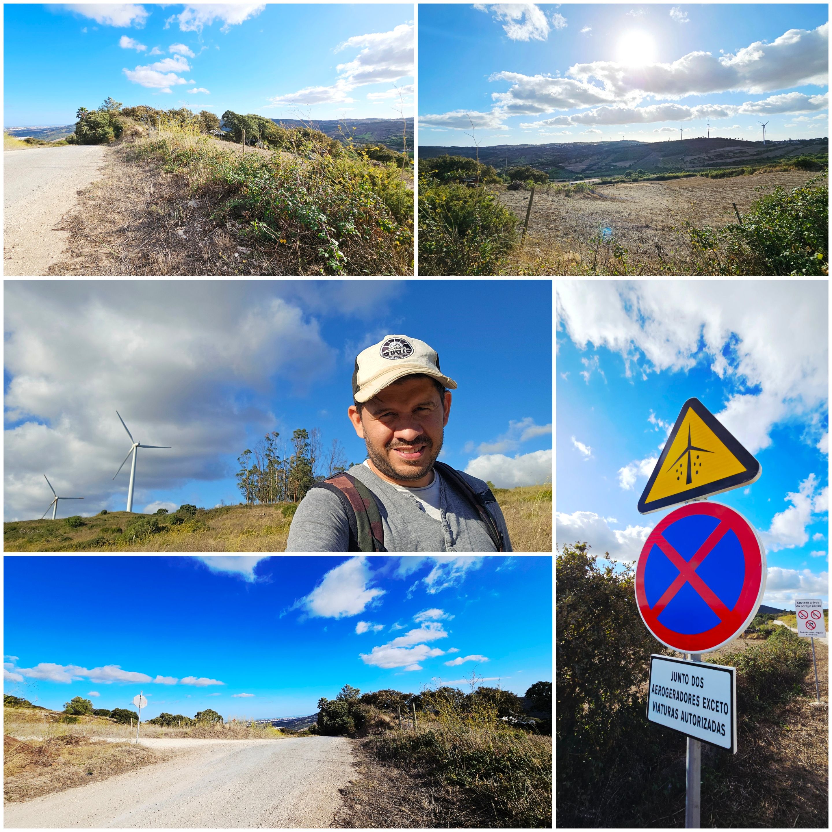 BeFunky-collage - 2025-10-06T112842.204.jpg