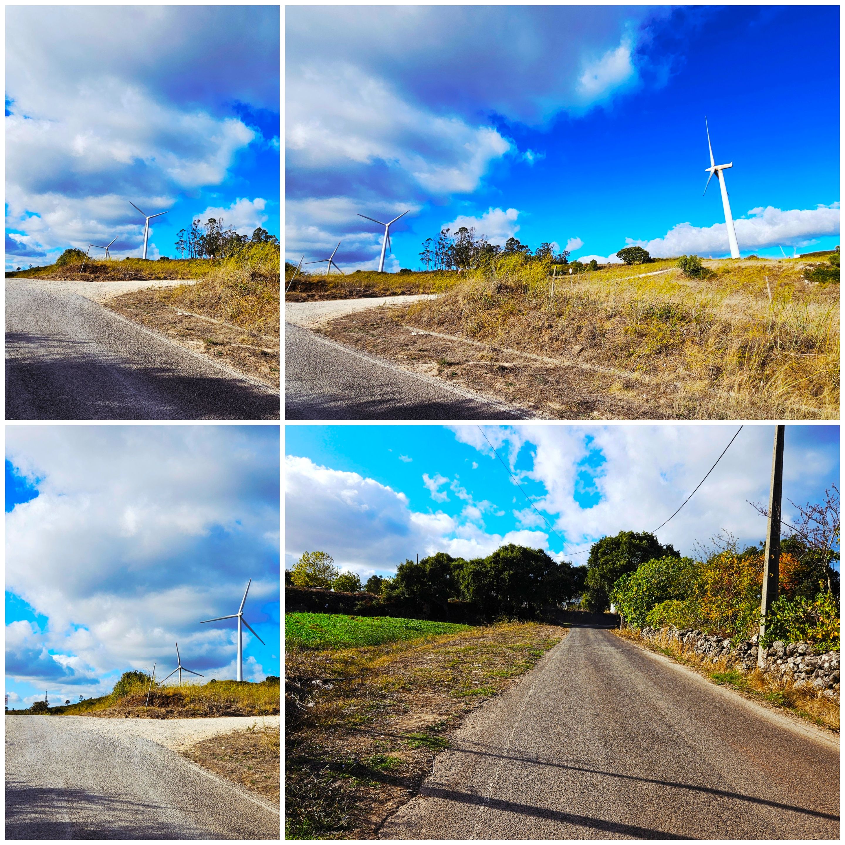 BeFunky-collage - 2025-10-06T113053.067.jpg