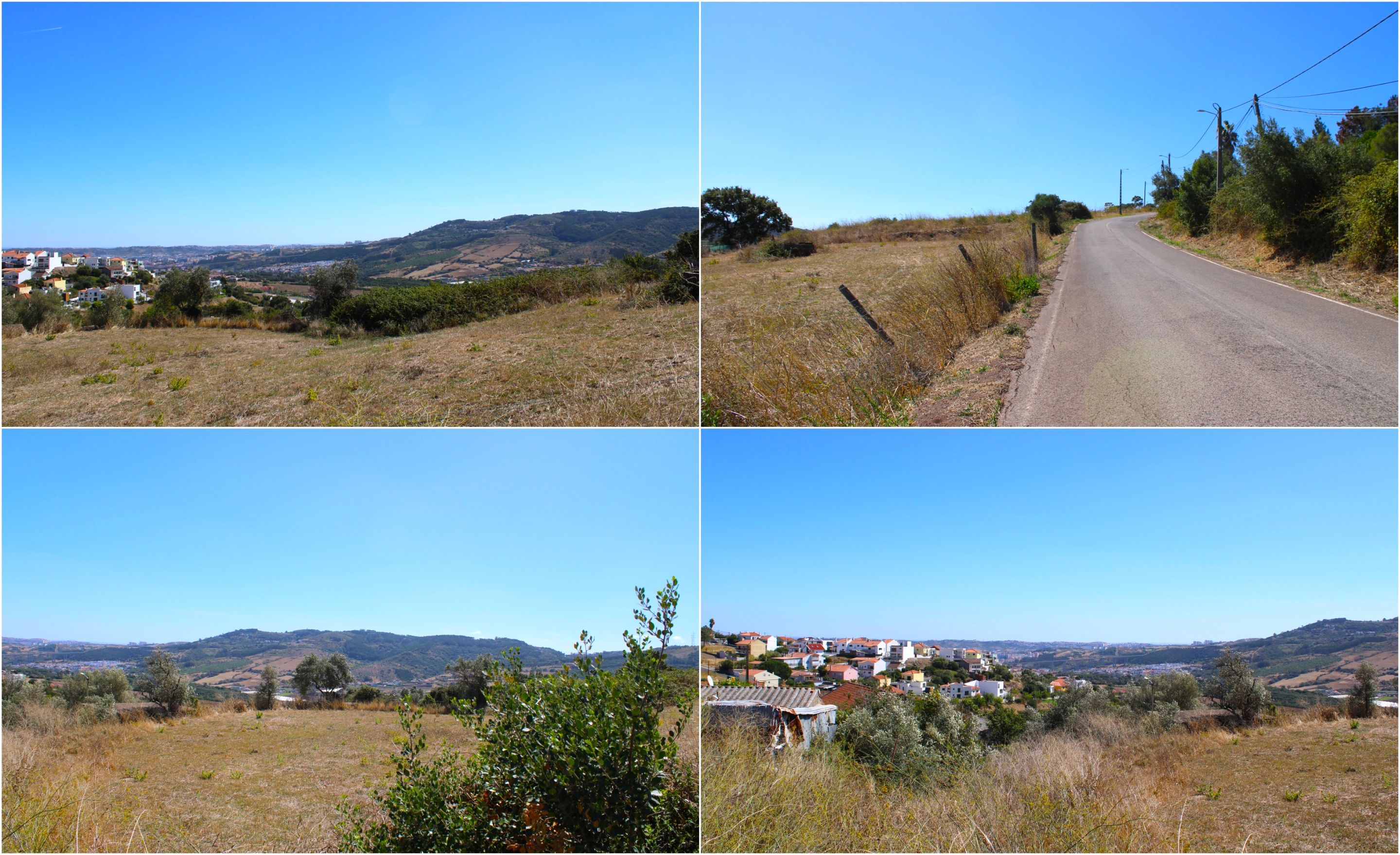 BeFunky-collage - 2025-10-06T105710.402.jpg