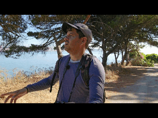 3.gif
