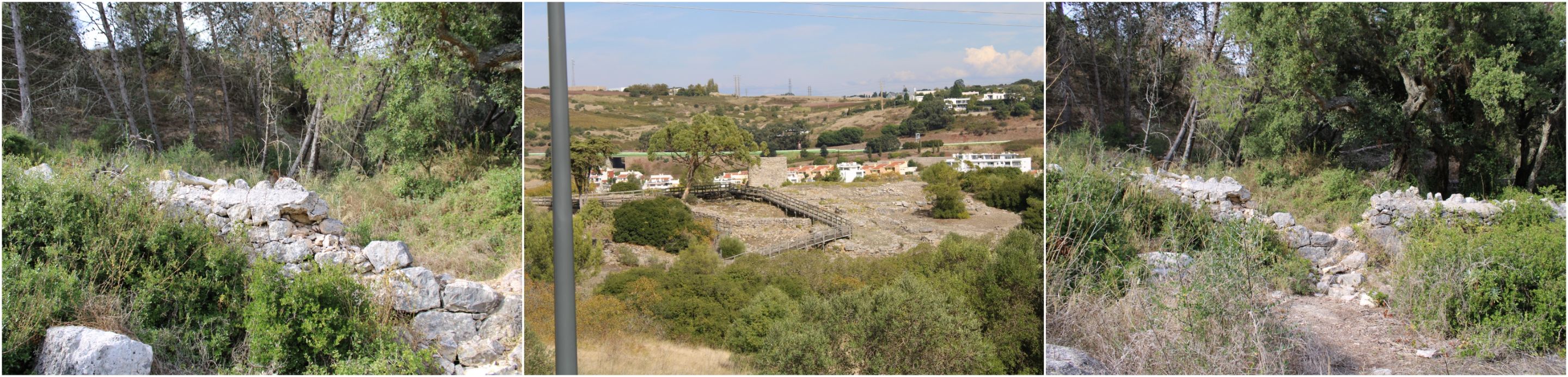 BeFunky-collage - 2025-10-23T112024.653.jpg