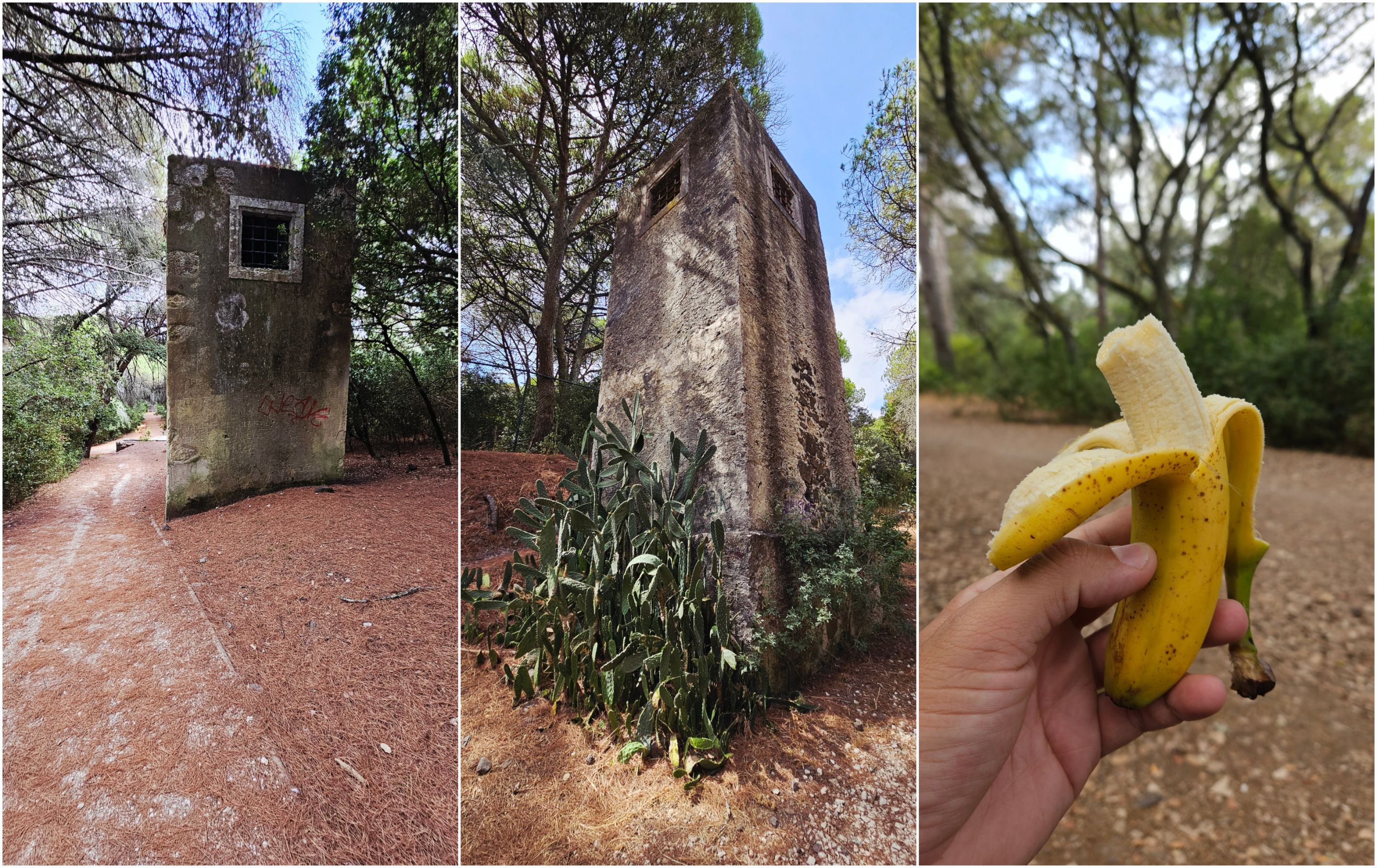 BeFunky-collage - 2025-10-30T110050.254.jpg