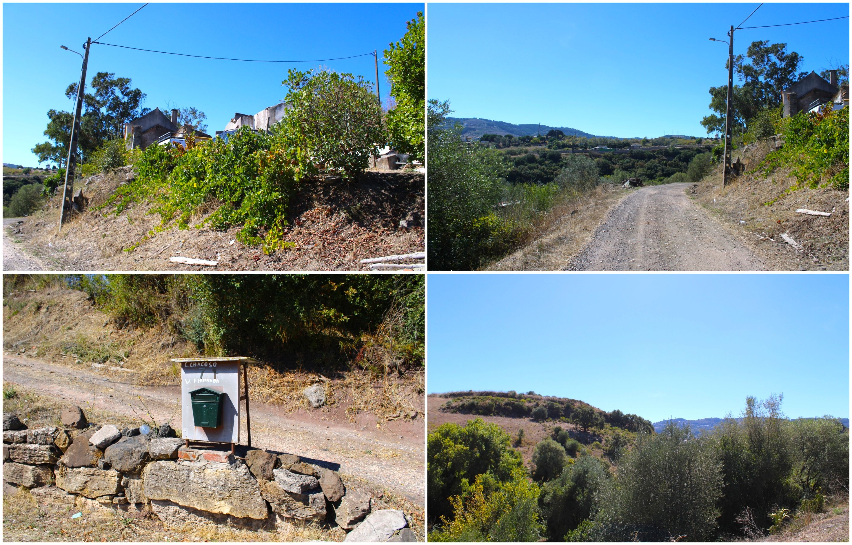 BeFunky-collage - 2025-10-10T150830.010.jpg