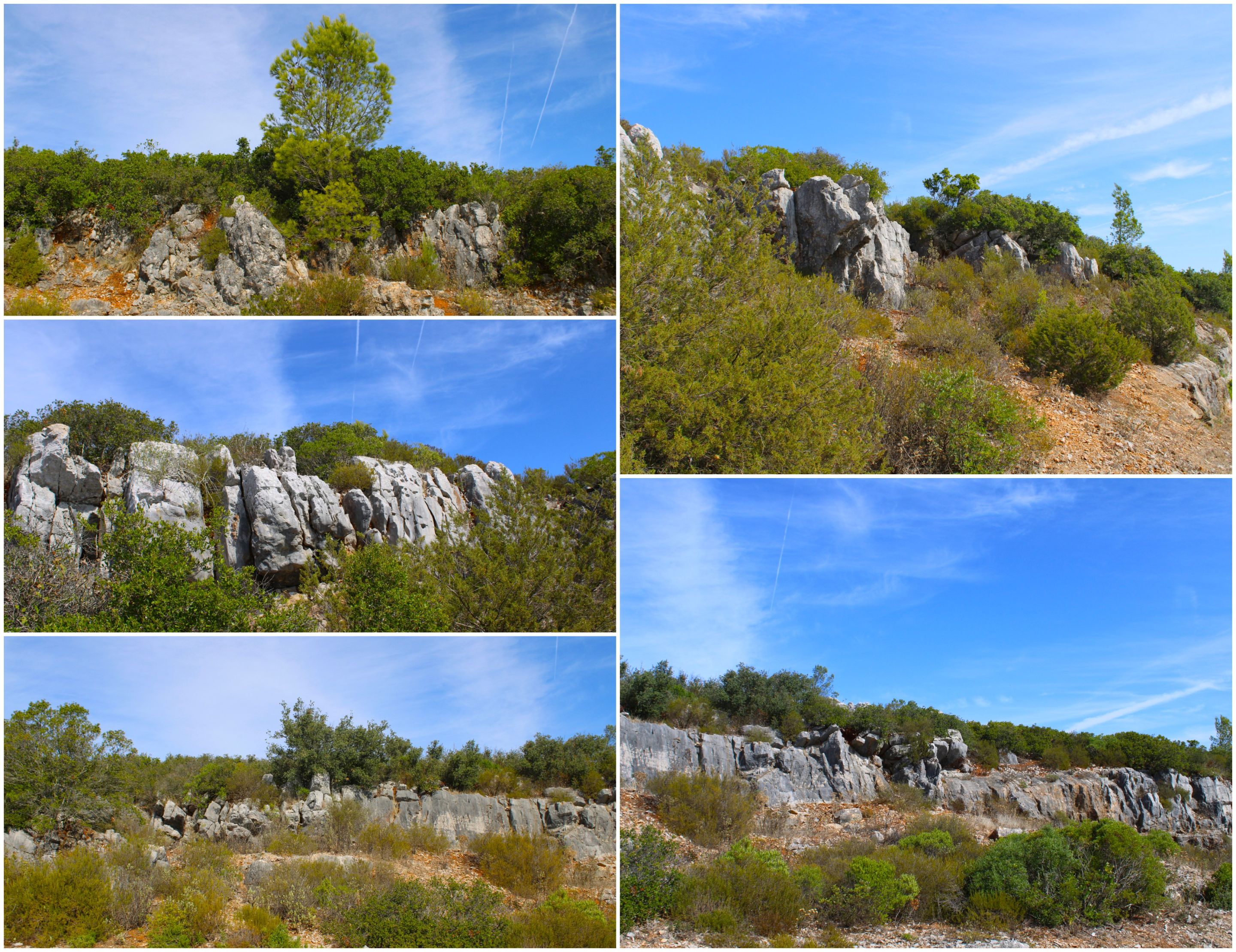 BeFunky-collage - 2025-11-03T120517.828.jpg