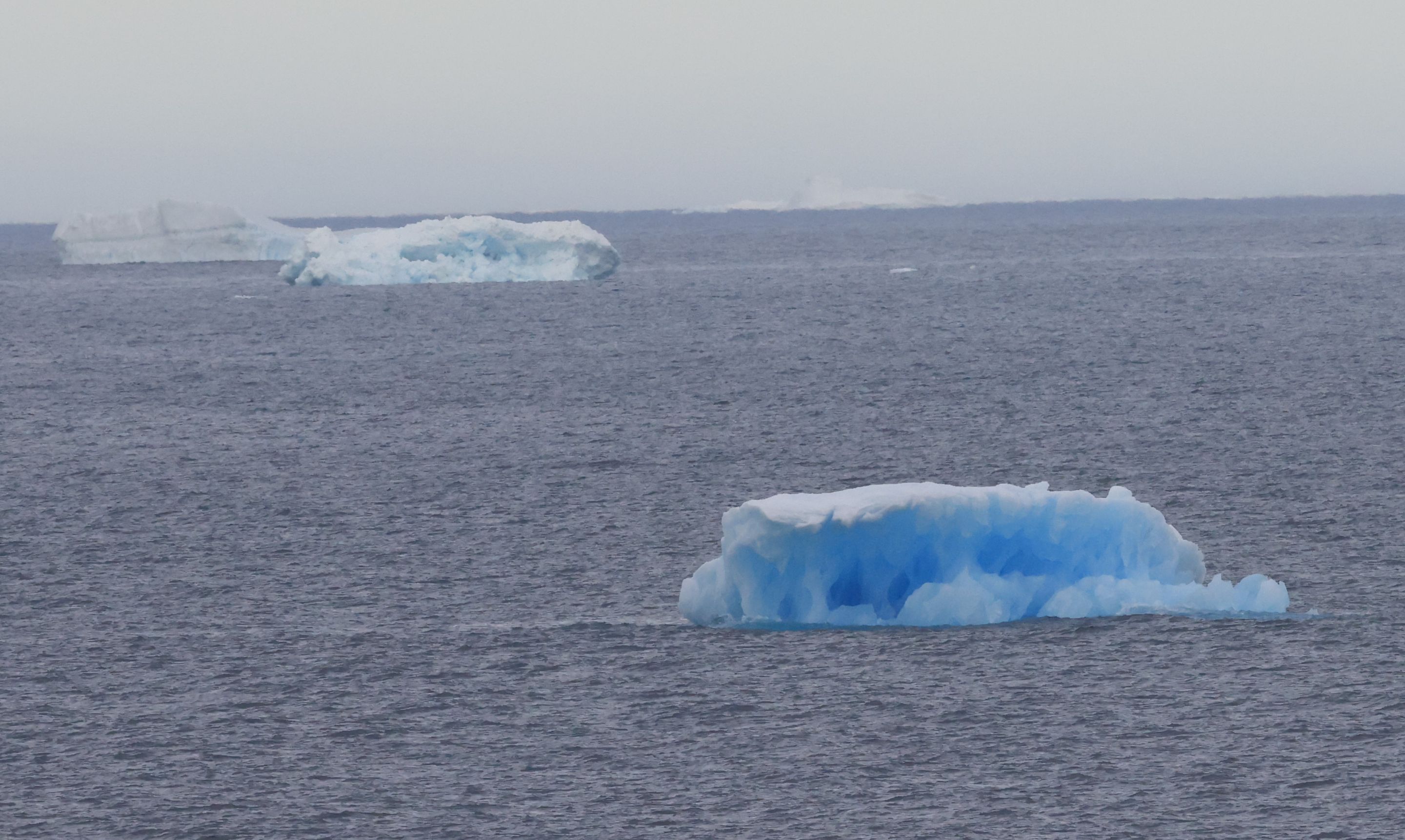 Very Blue Iceberg_0Y0A7505 2022-11-21 Arriving Antarctica.JPG