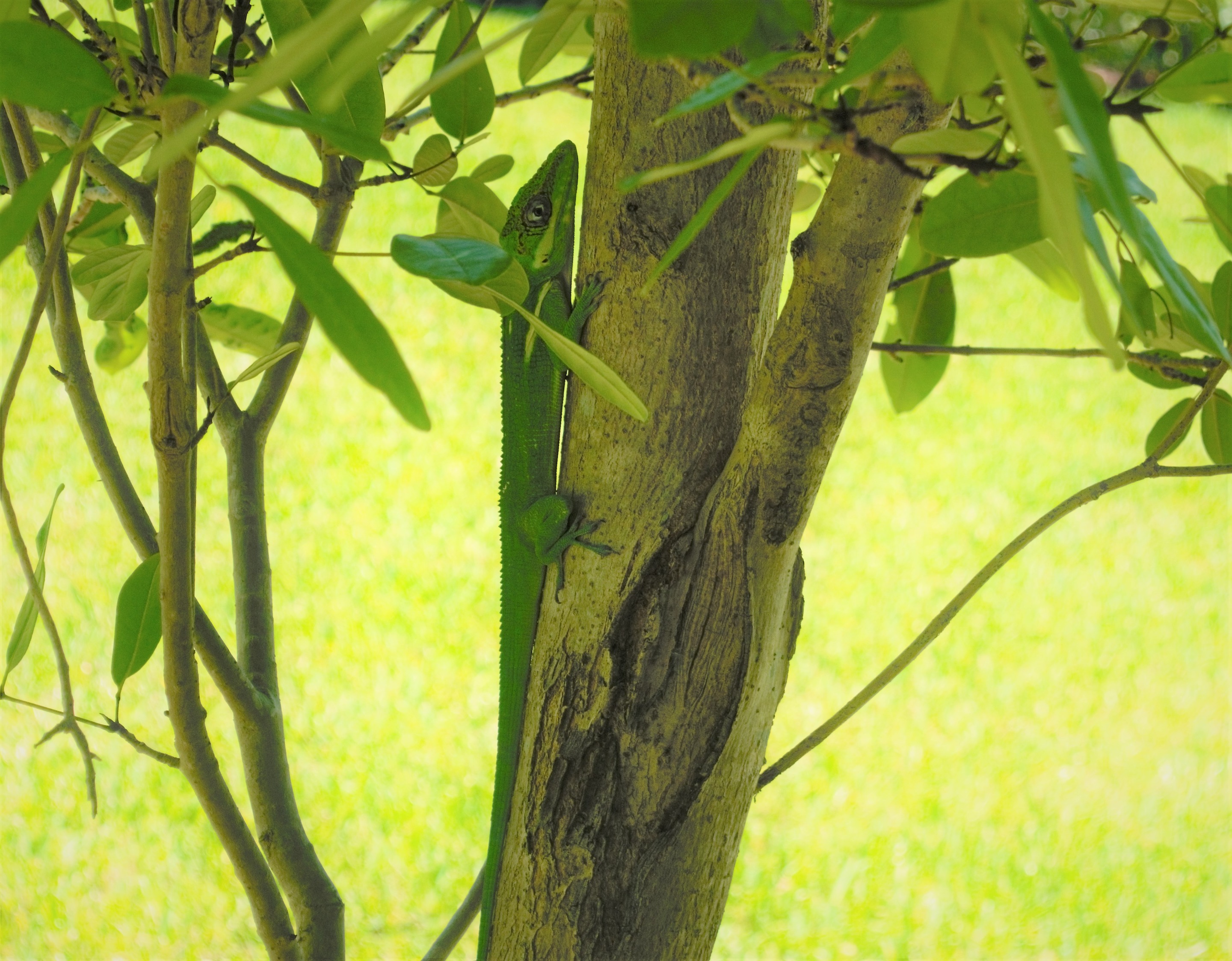 DSC_0003 2.jpg