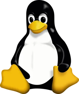 lin.webp