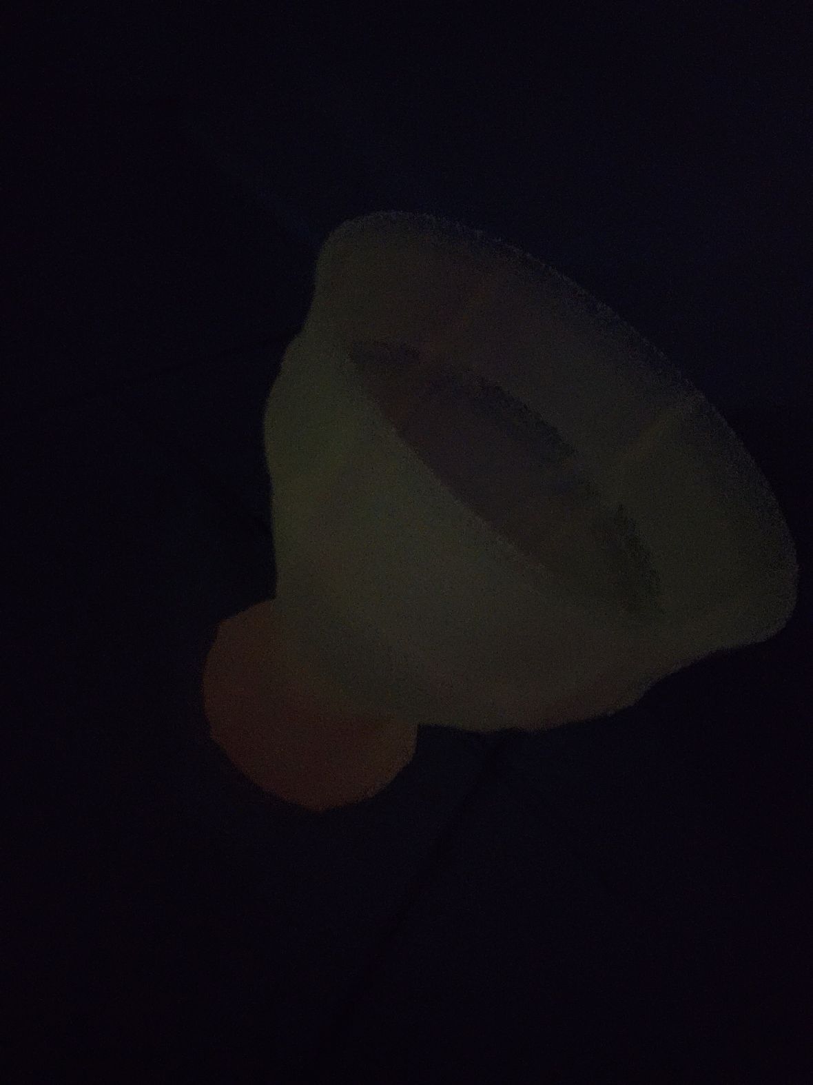 20240819_203228.jpg