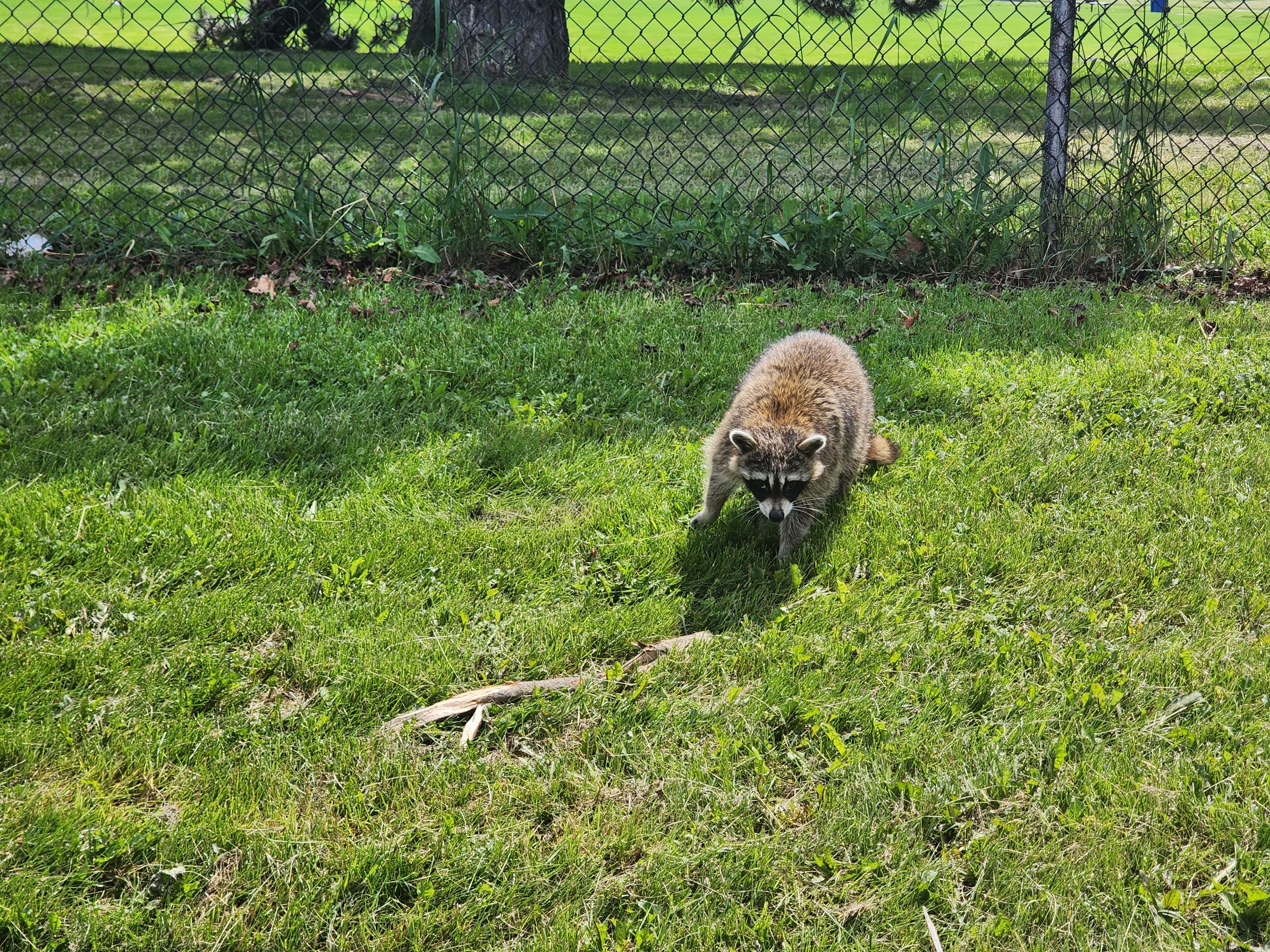 20240604_112706.jpg