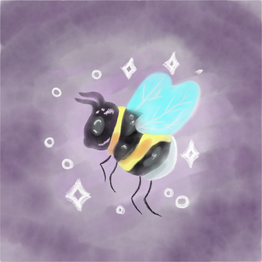 b6.png