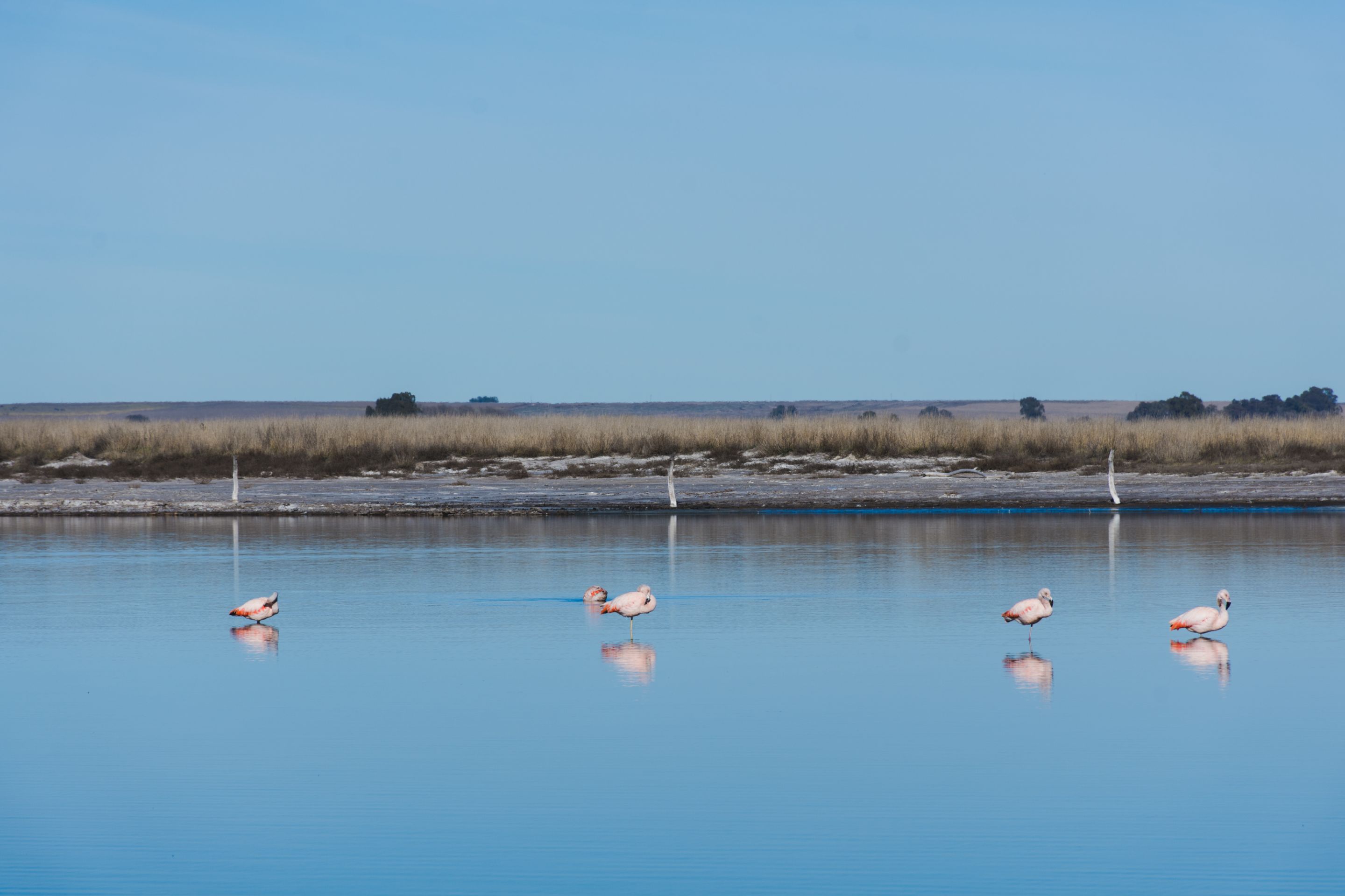 Epecuén 2019_23.jpg