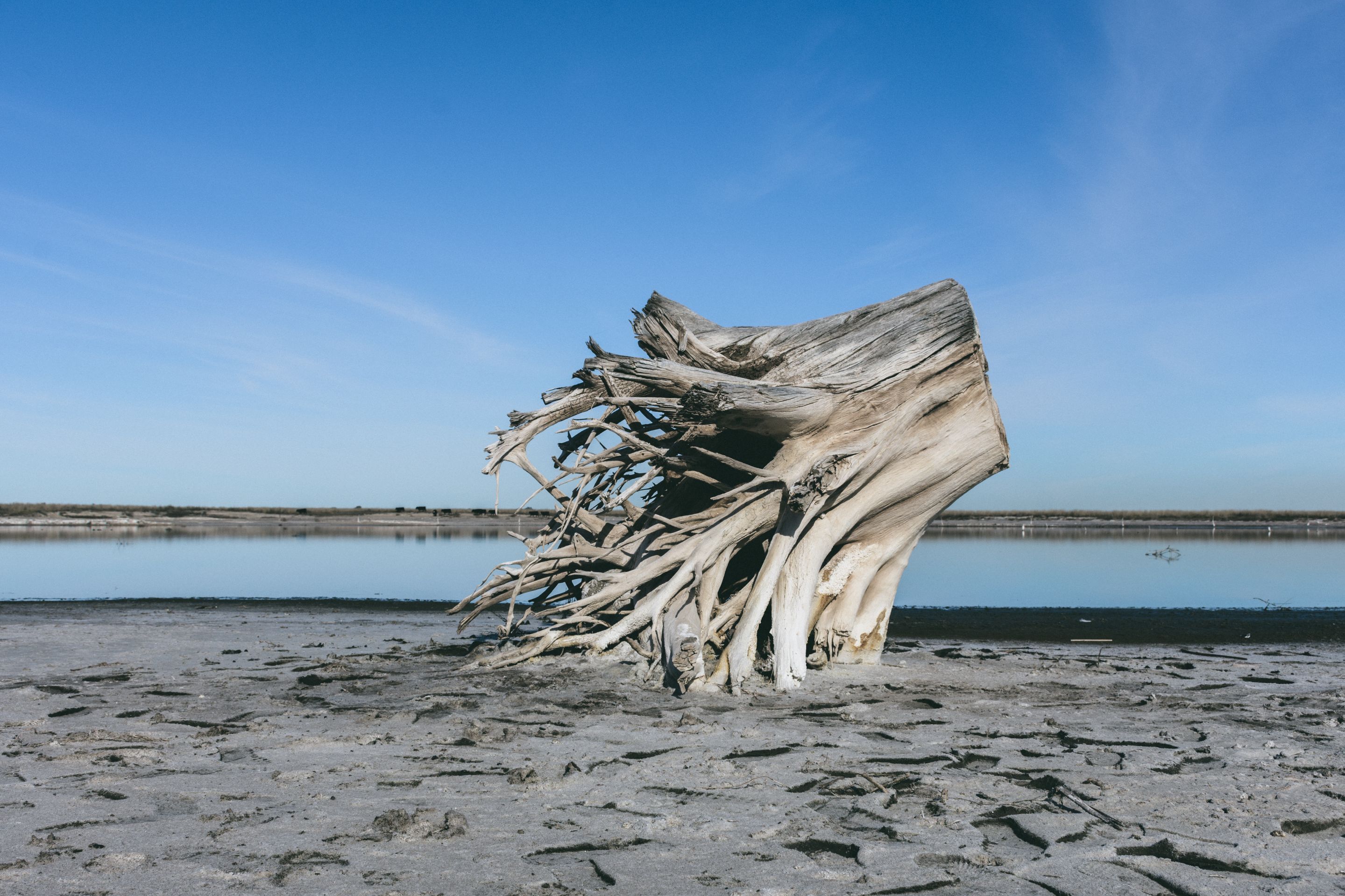 Epecuén 2019_34.jpg