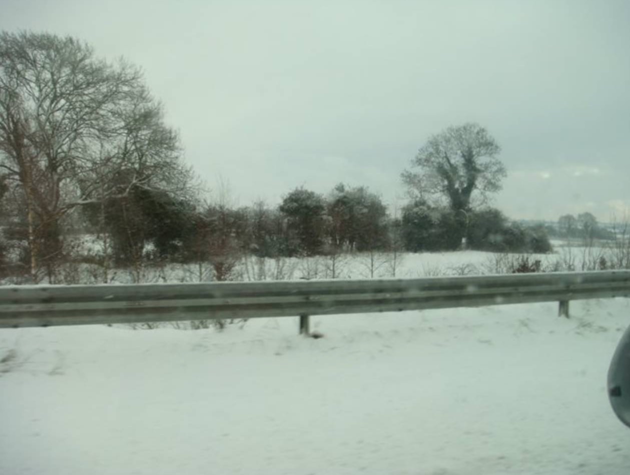 IMG_8440.jpeg