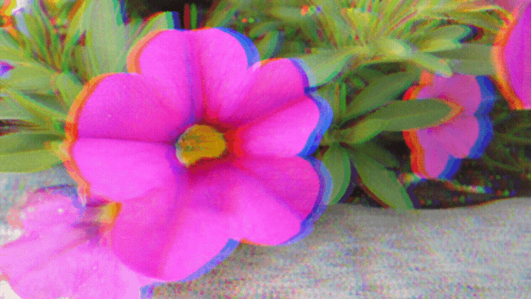 10000158…
Payout: 0.000 HBDPinkles🌸
2025-07-08 00:09<div class="text-justify"> ![1000017123.gif
