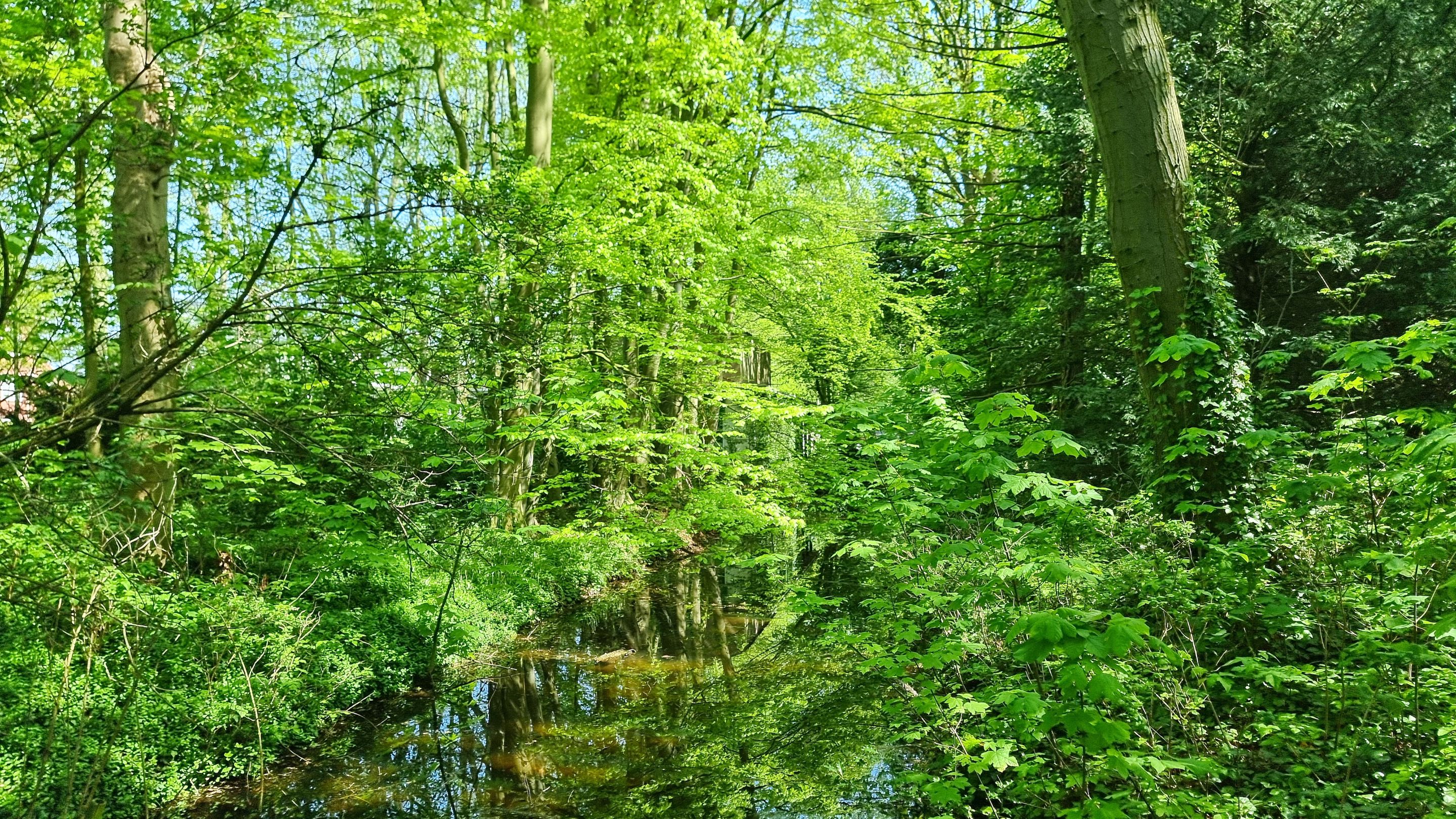 20240502_124156.jpg