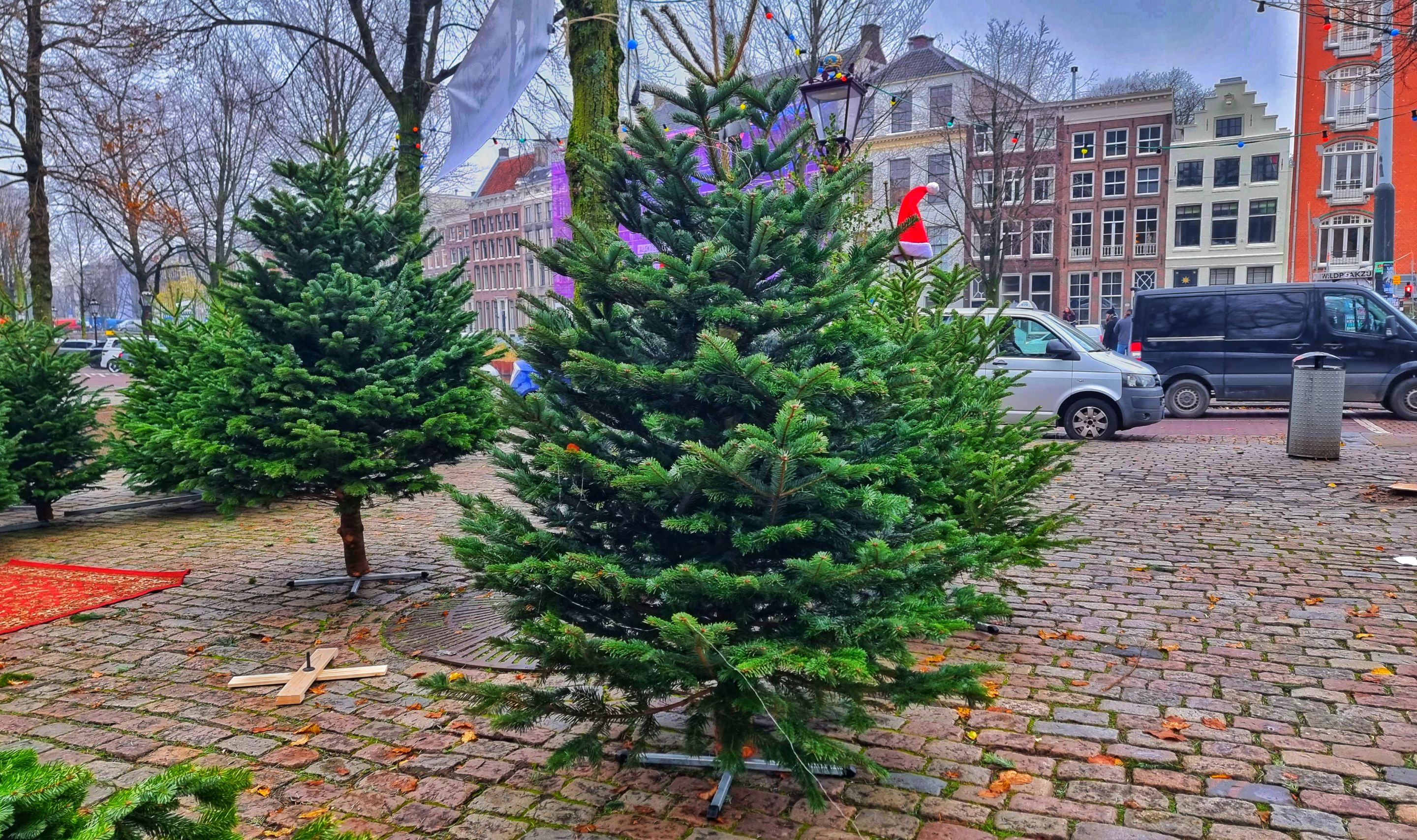 124221-01.jpeg