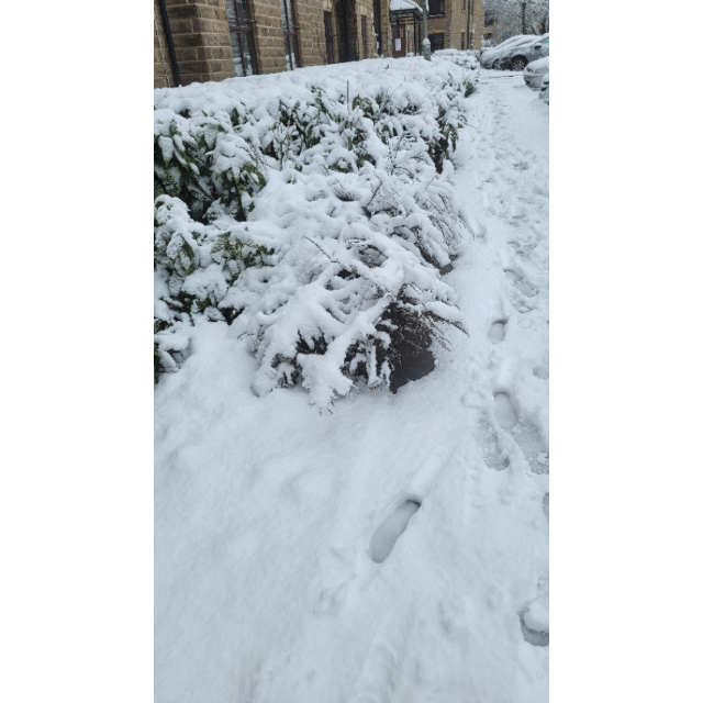 20230310_142455.gif