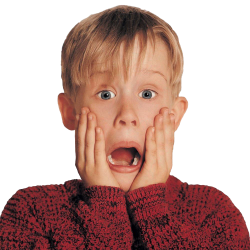 home alone resized.png