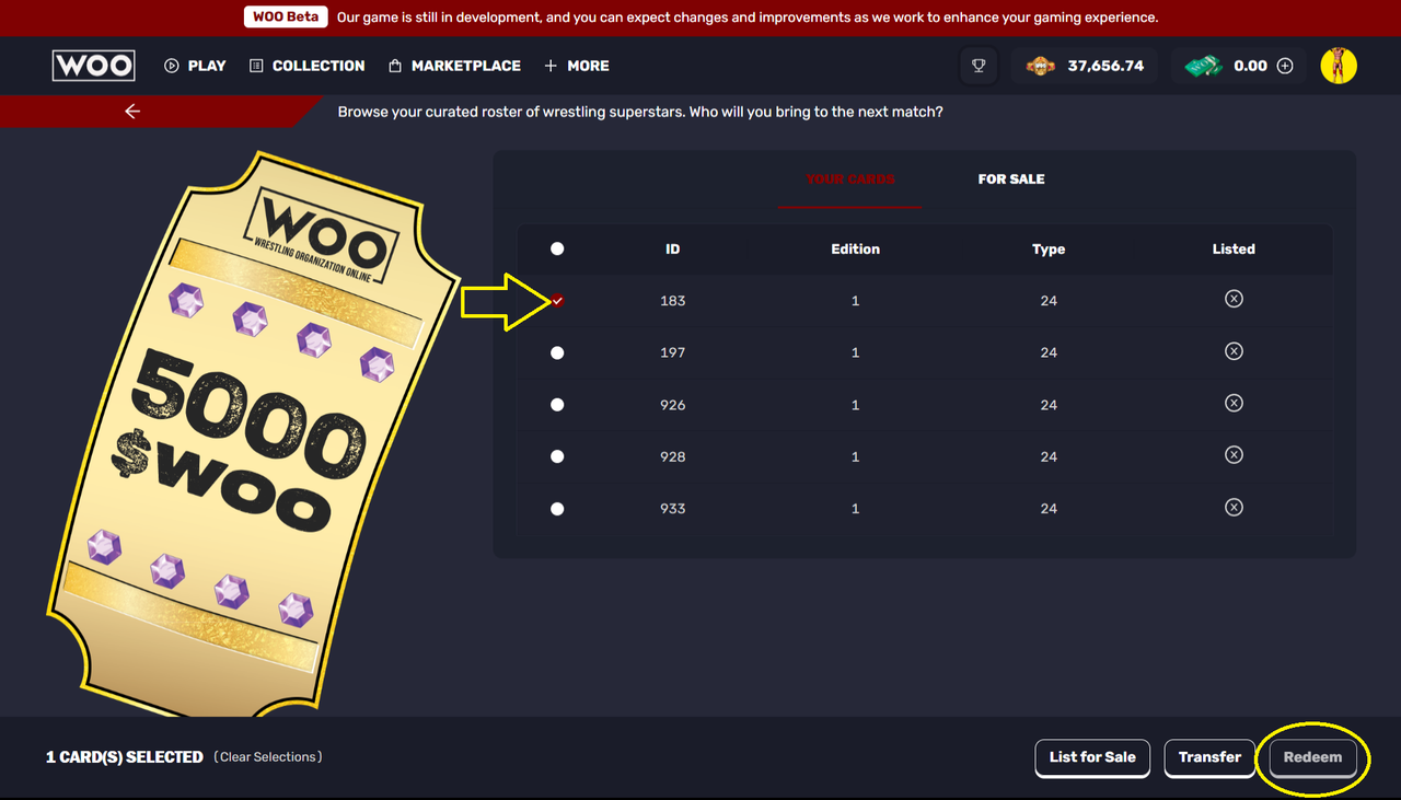 wooticket2.png