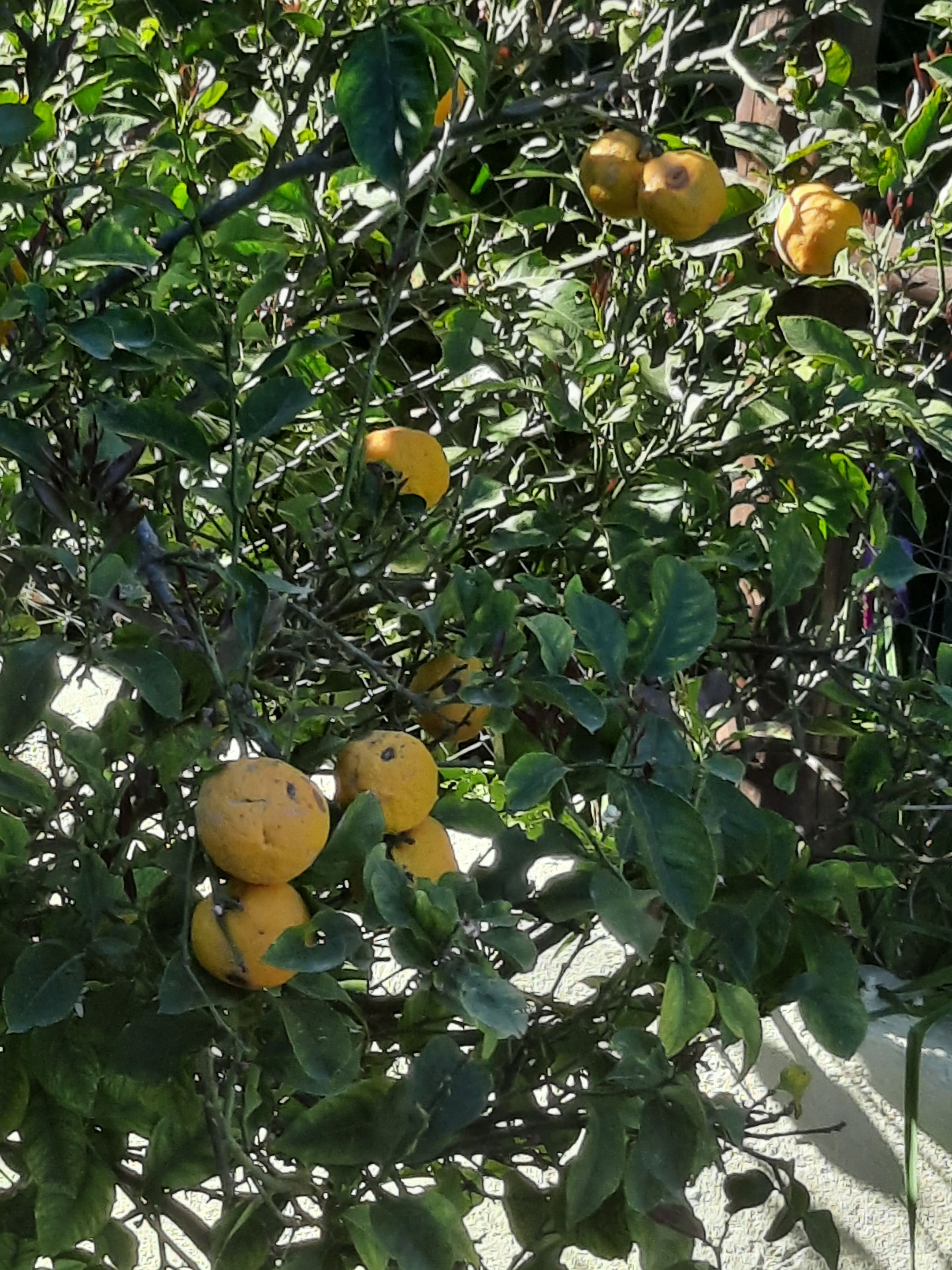 20240405_105058.jpg