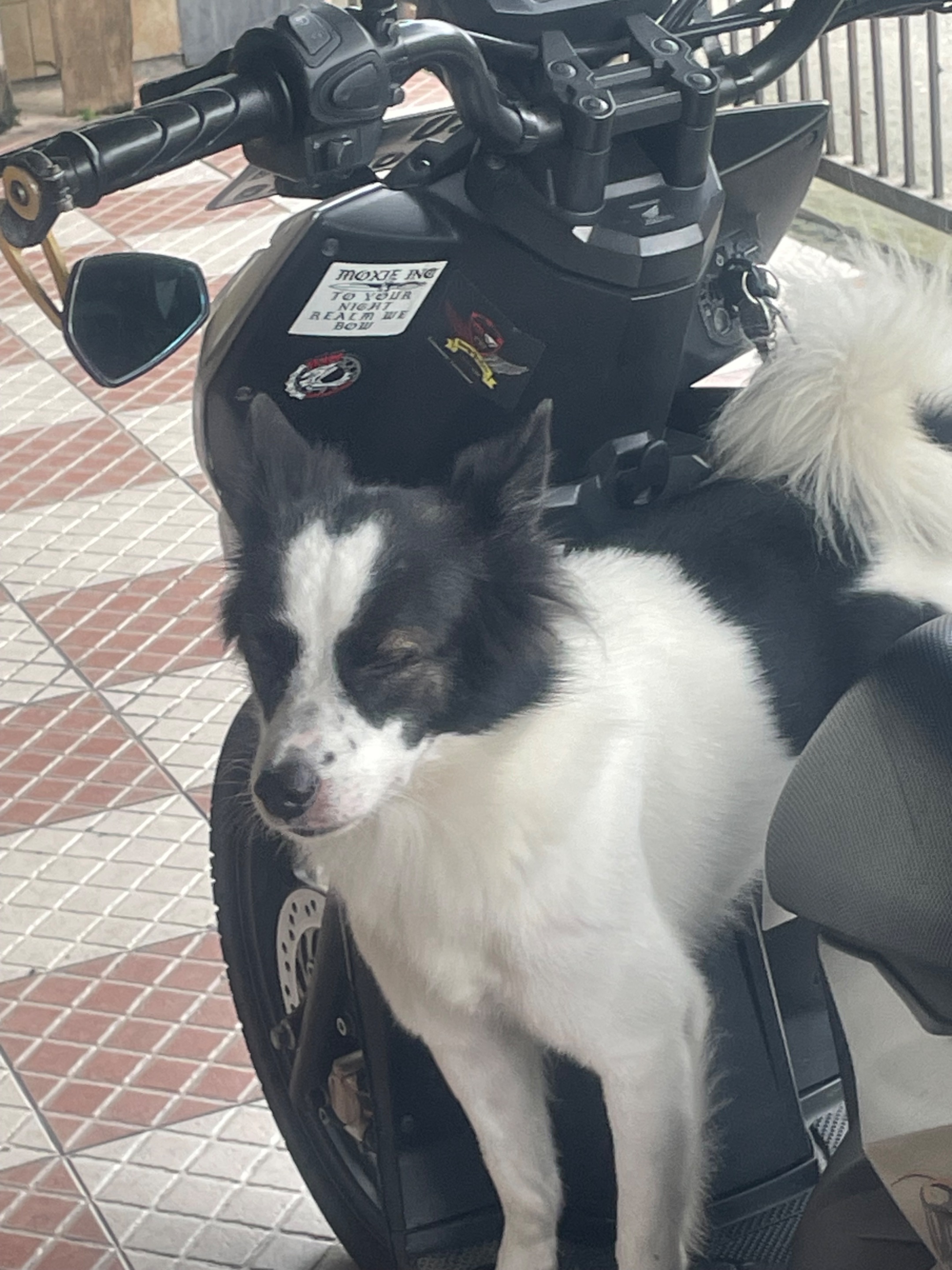 IMG_0784.jpeg
