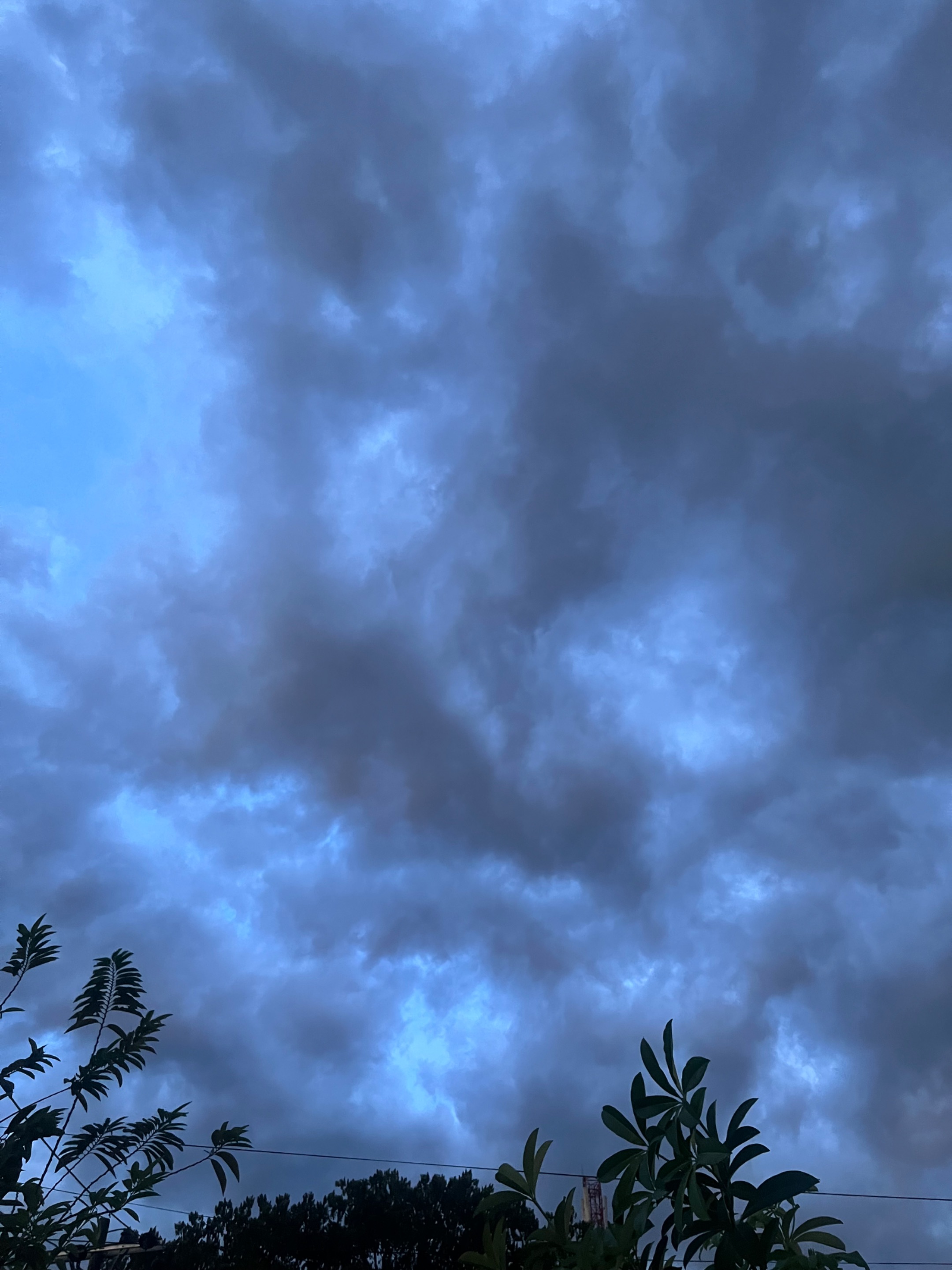 IMG_1088.jpeg