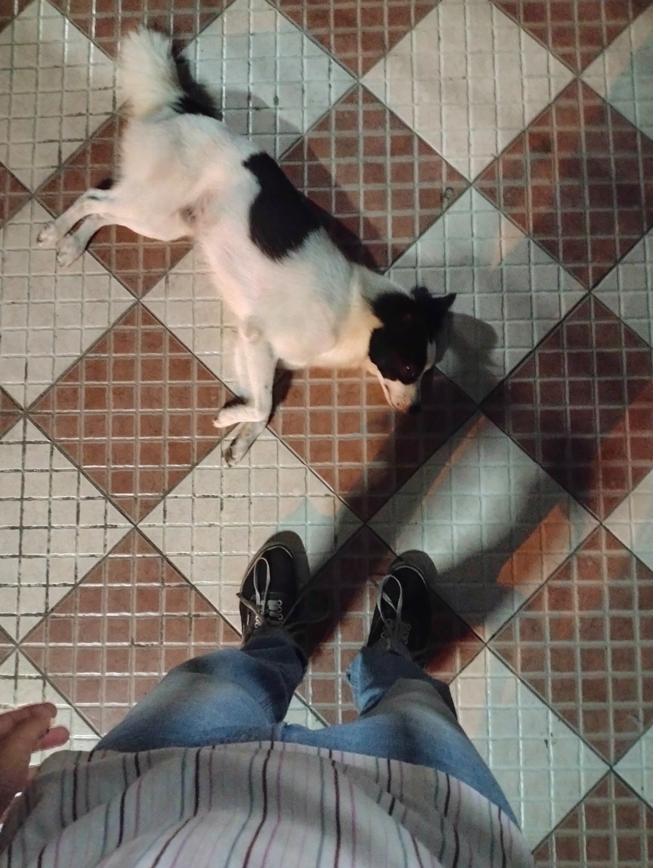 IMG20240914202255.jpeg