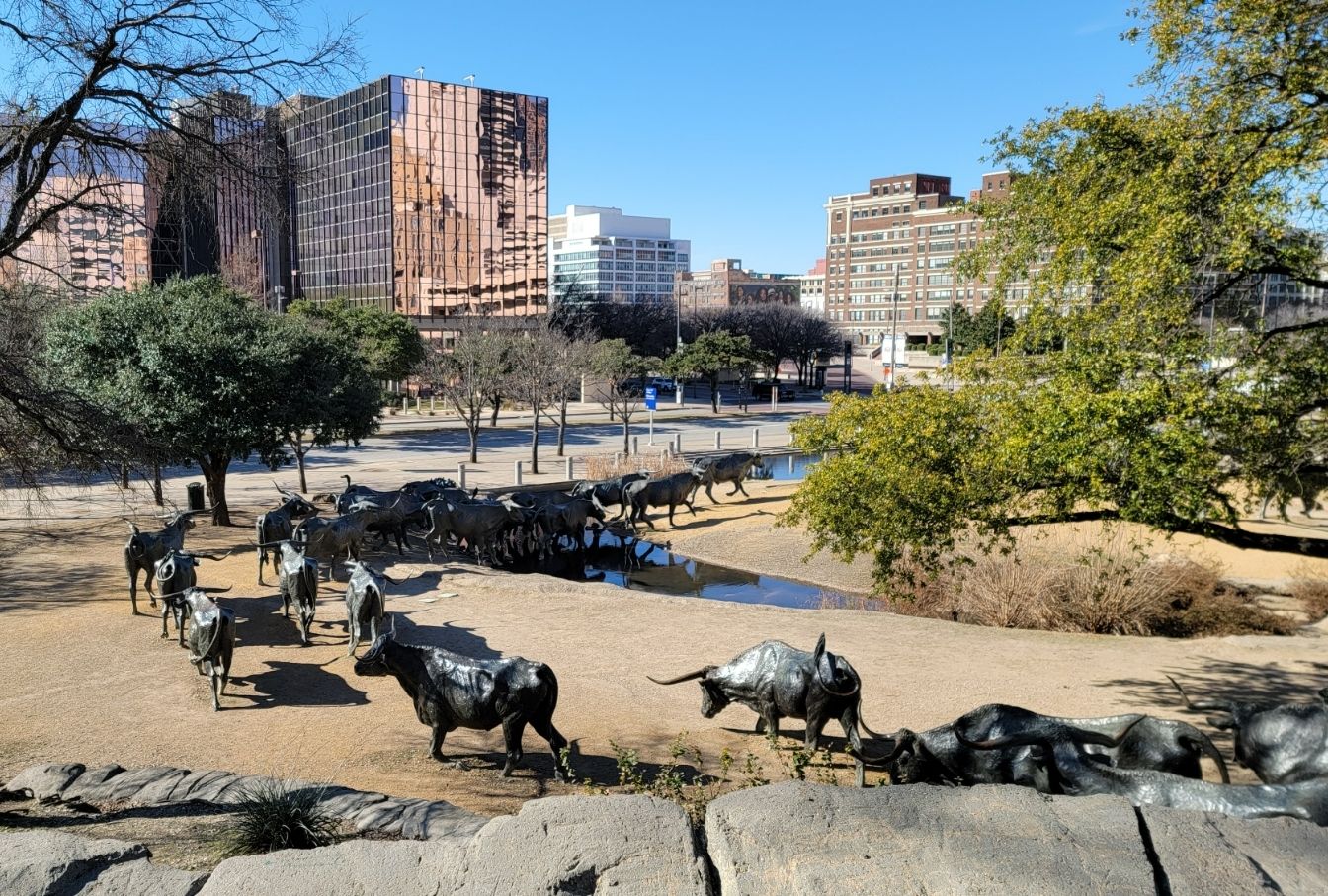 cattle top 2.jpg