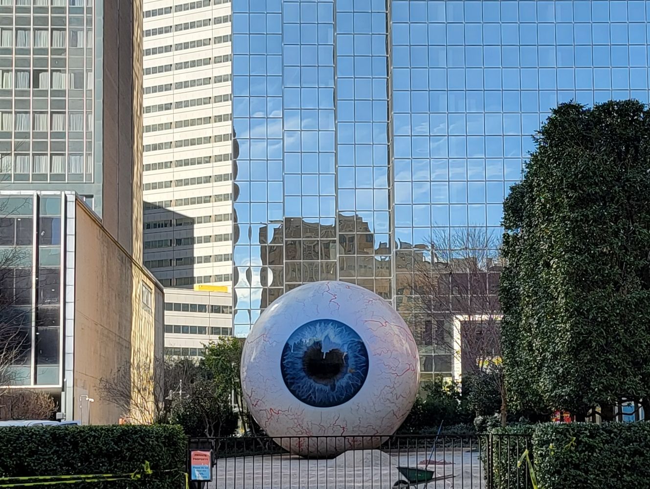 eyeball.jpg