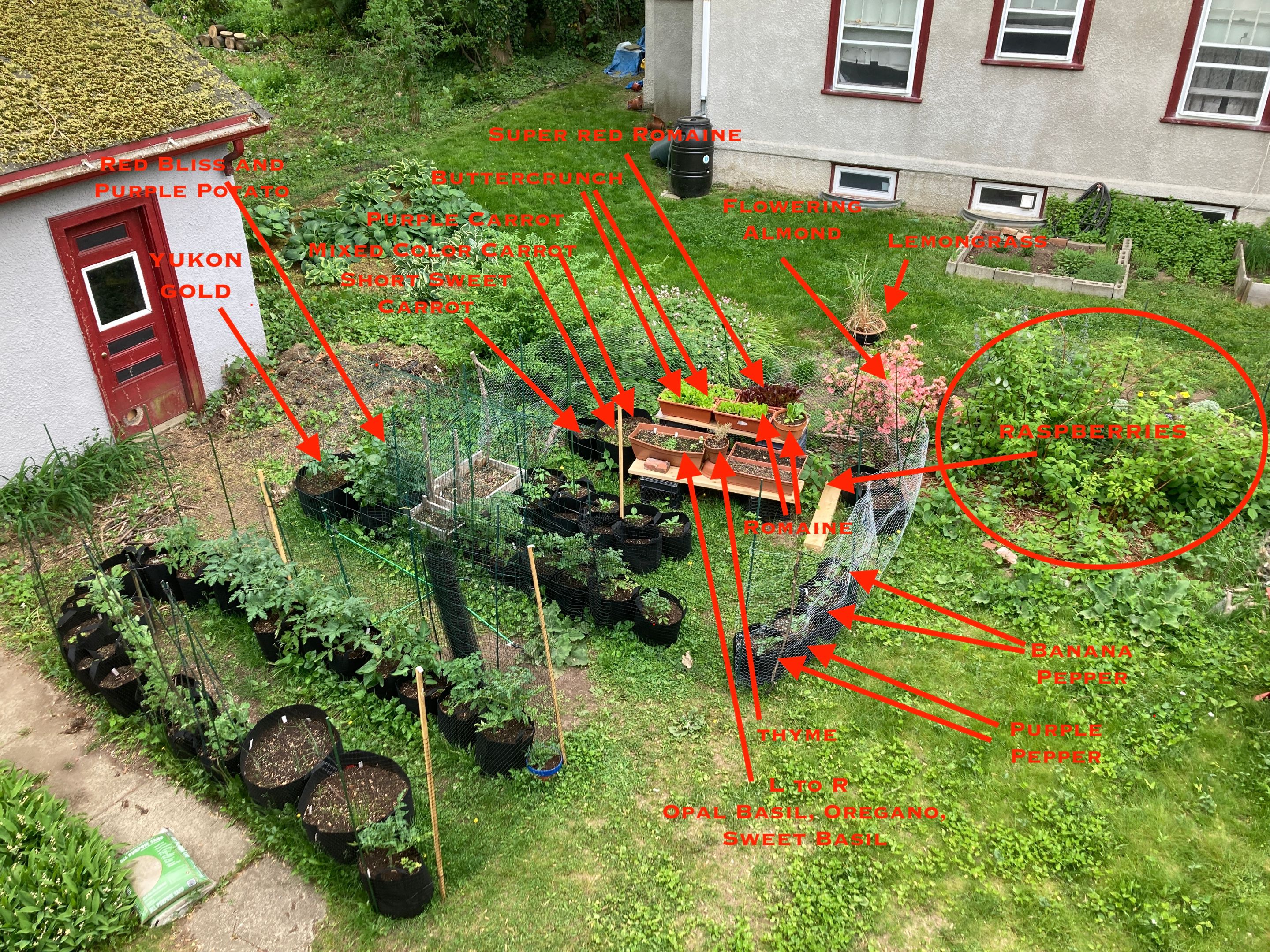 Garden labels.JPG