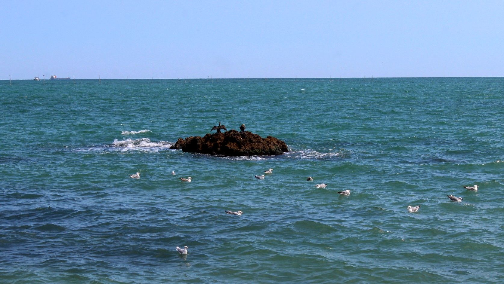 IMG_7809.jpg
