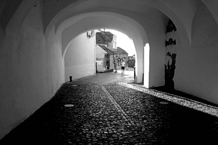 IMG_1008.jpg
