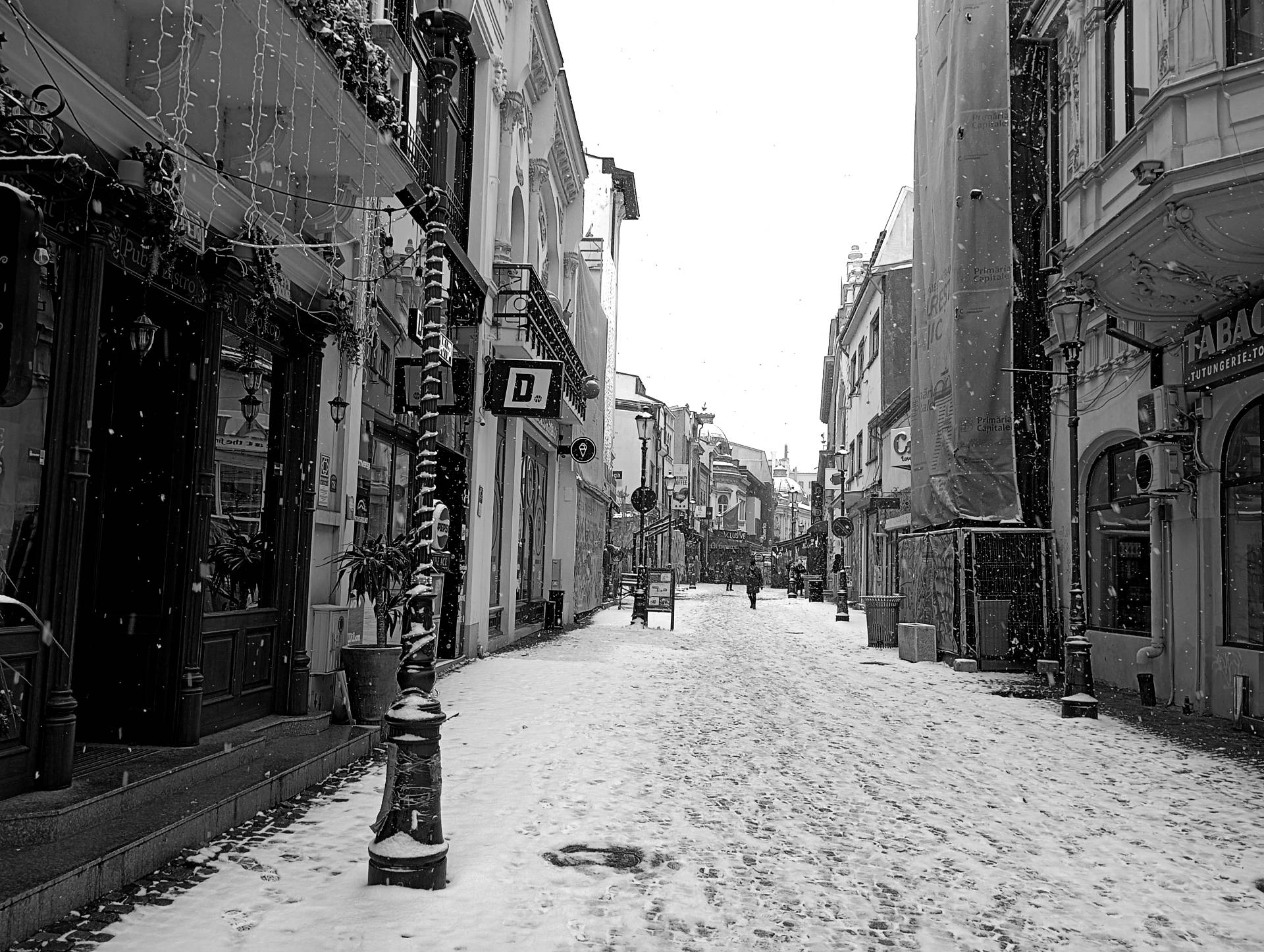 IMG_20250216_110130.jpg