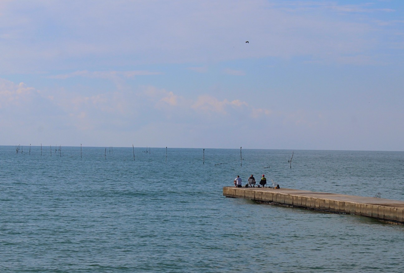 IMG_7551.jpg