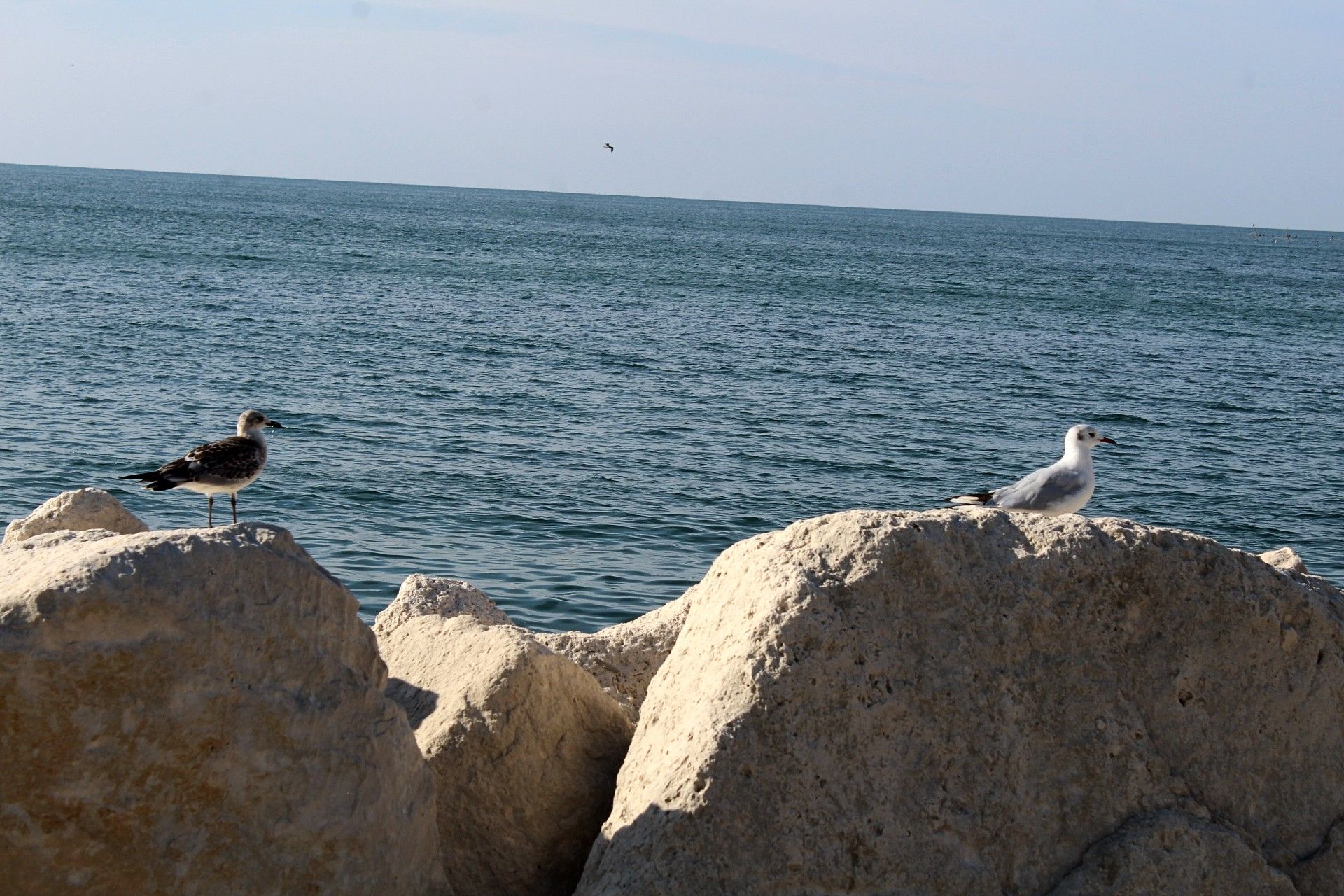 IMG_8125.jpg