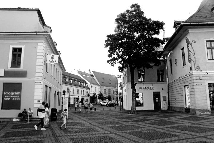 IMG_1009.jpg