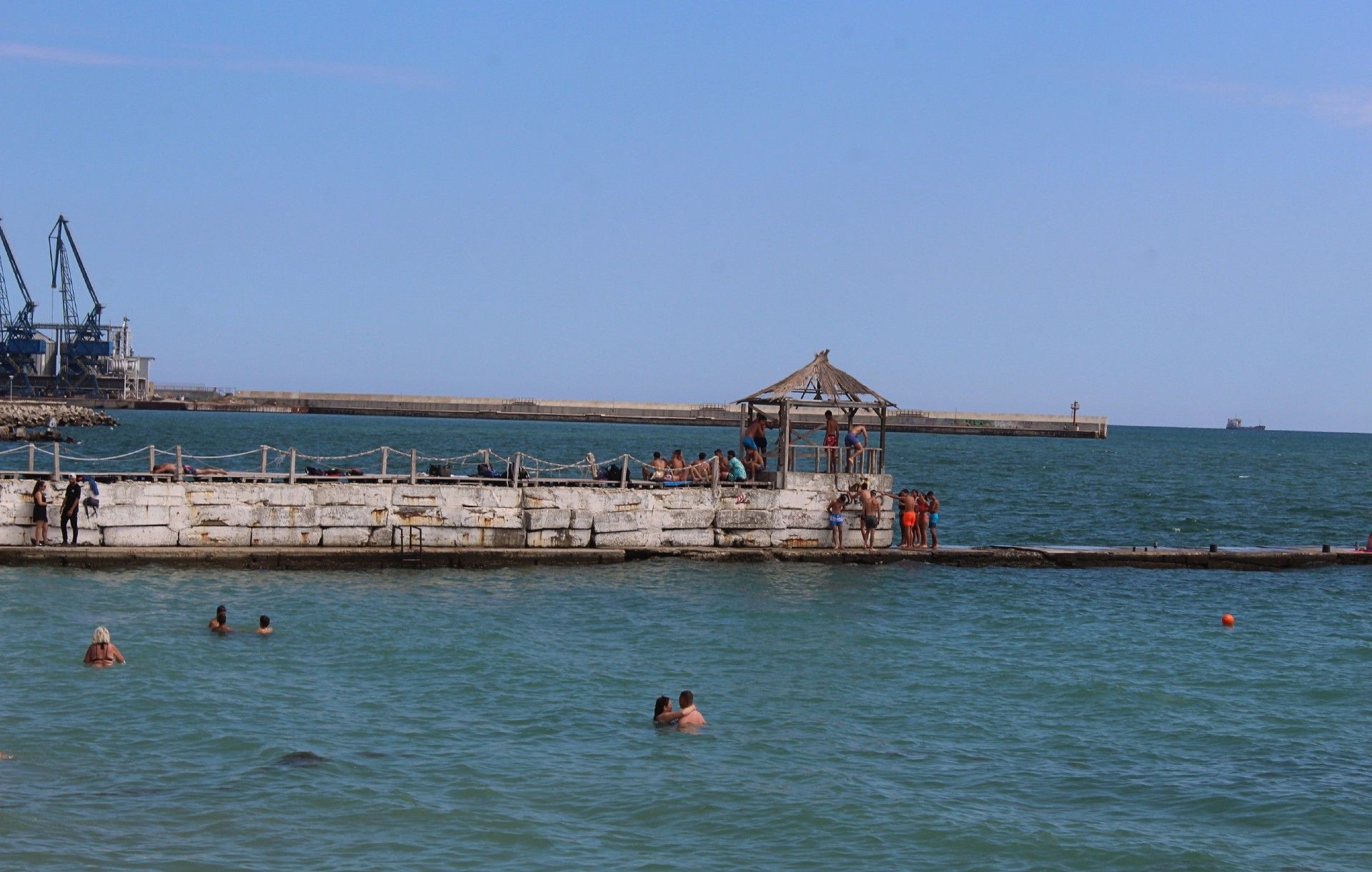 IMG_7926.jpg