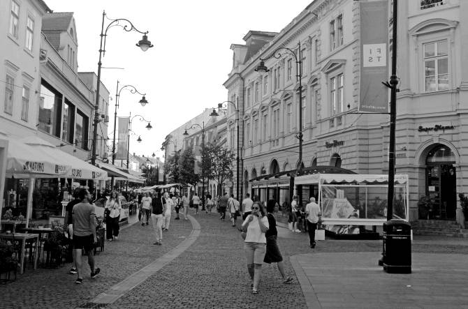 IMG_1018.jpg