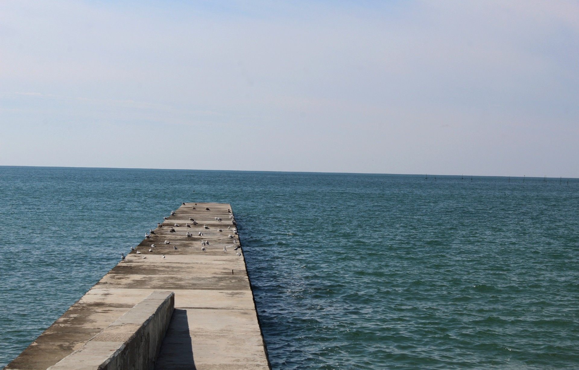 IMG_8381.jpg