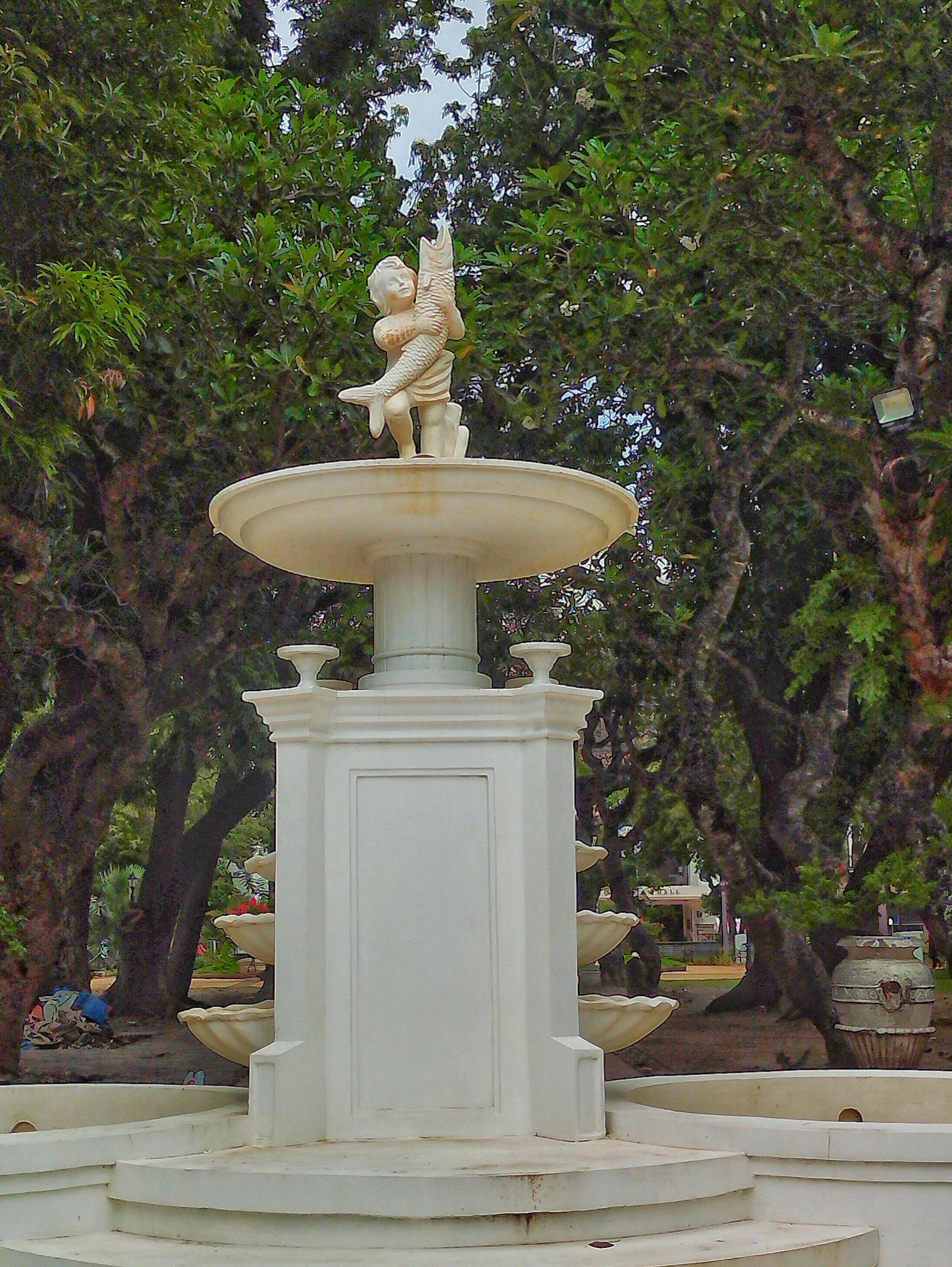 IMG-1736-A.jpg