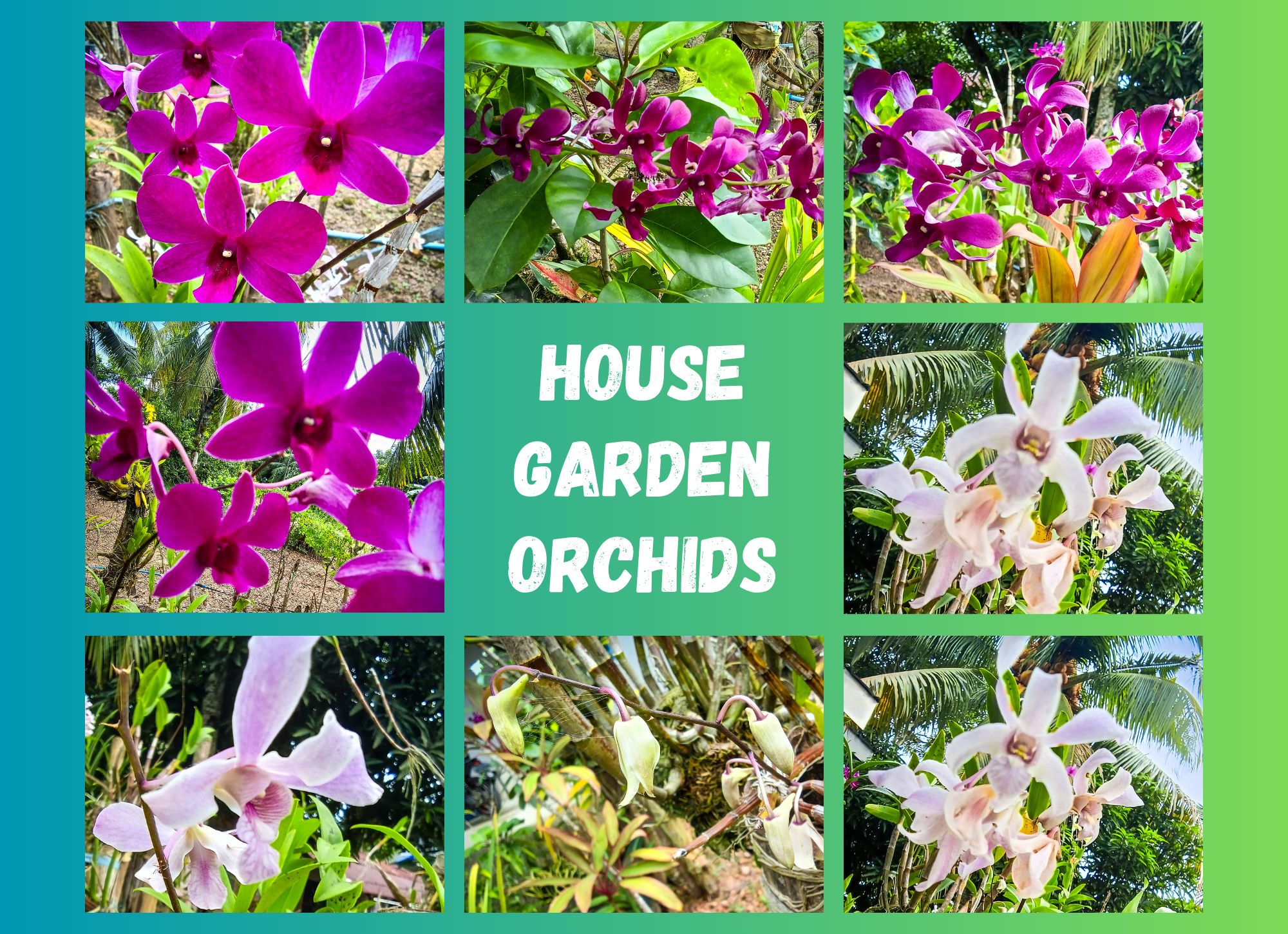 black and white (2).png