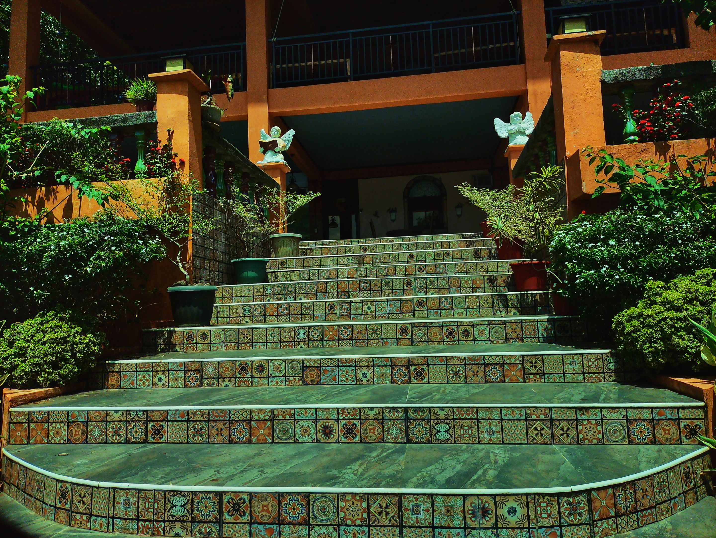 IMG-1118-A.jpg
