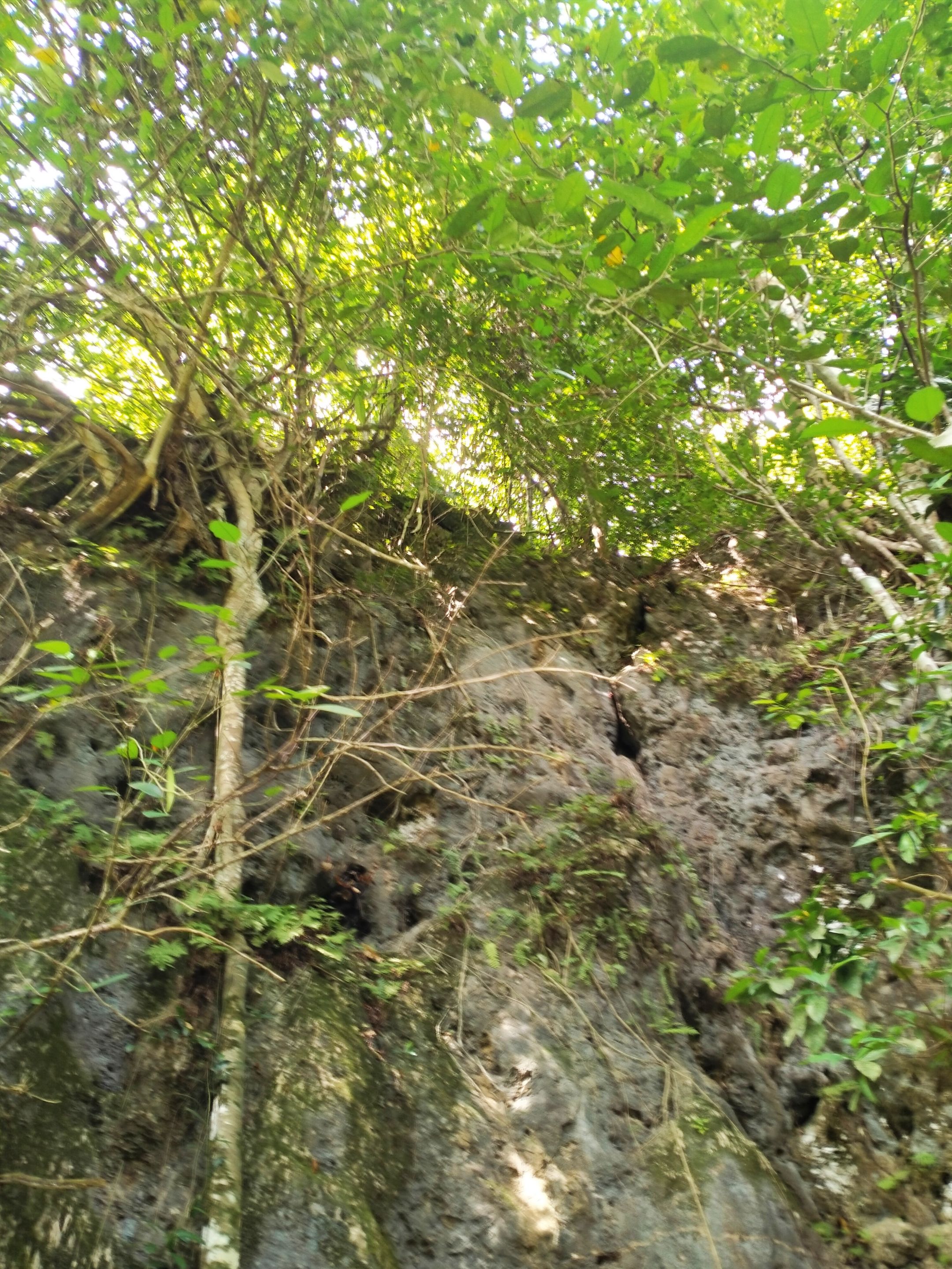 IMG_20231119_020855.jpg