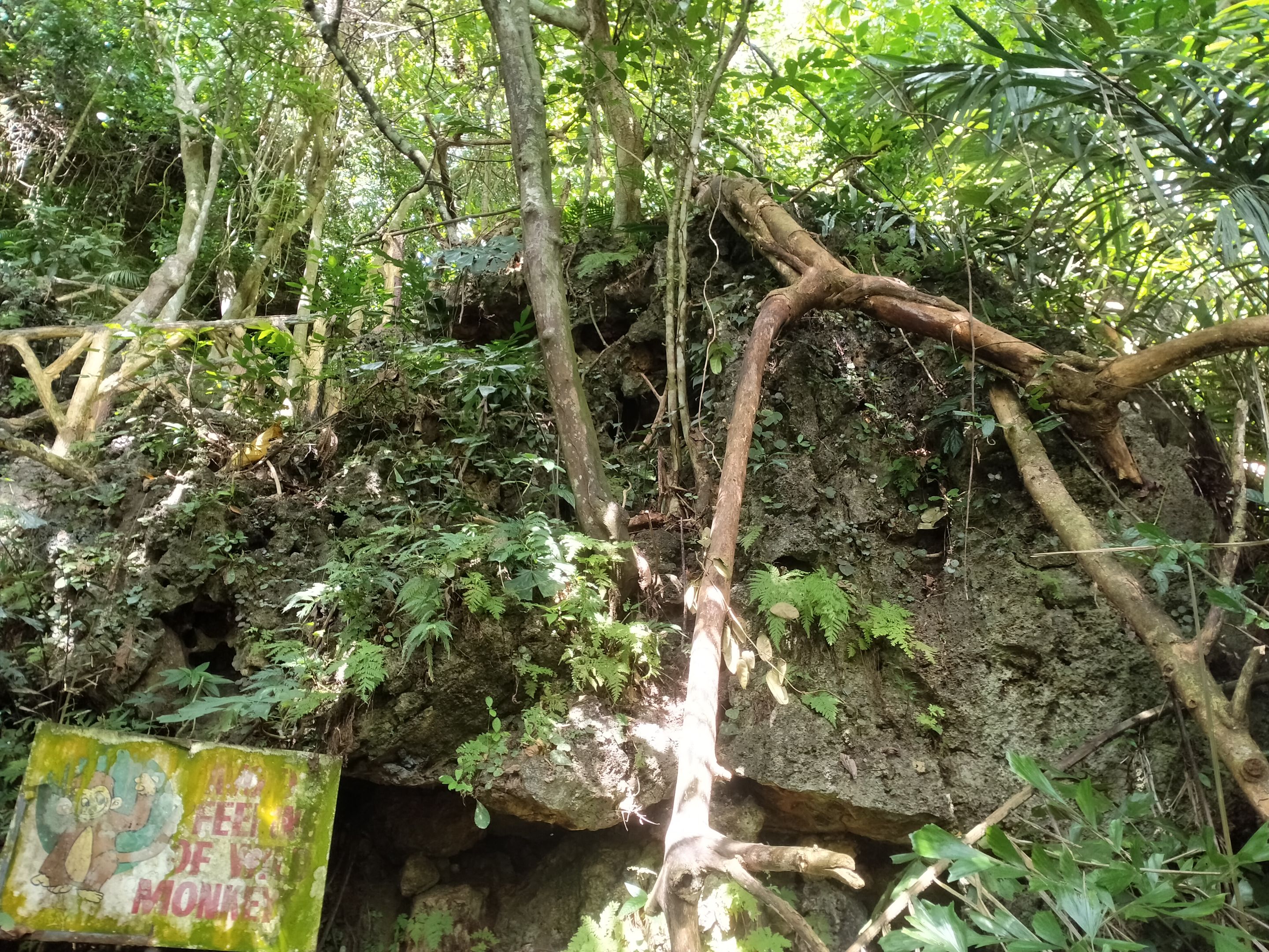 IMG20231030135241.jpg