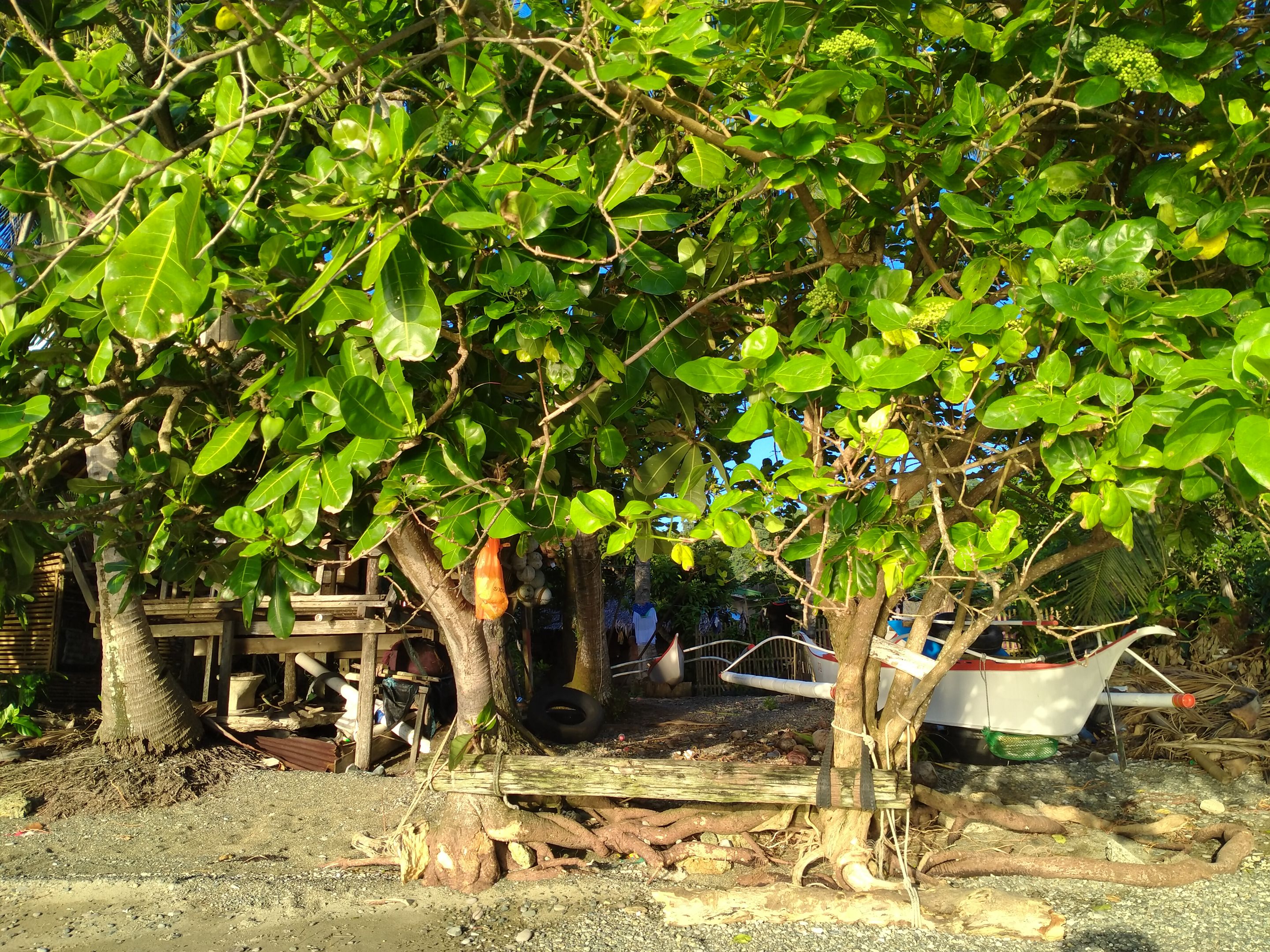 IMG20221031163759.jpg
